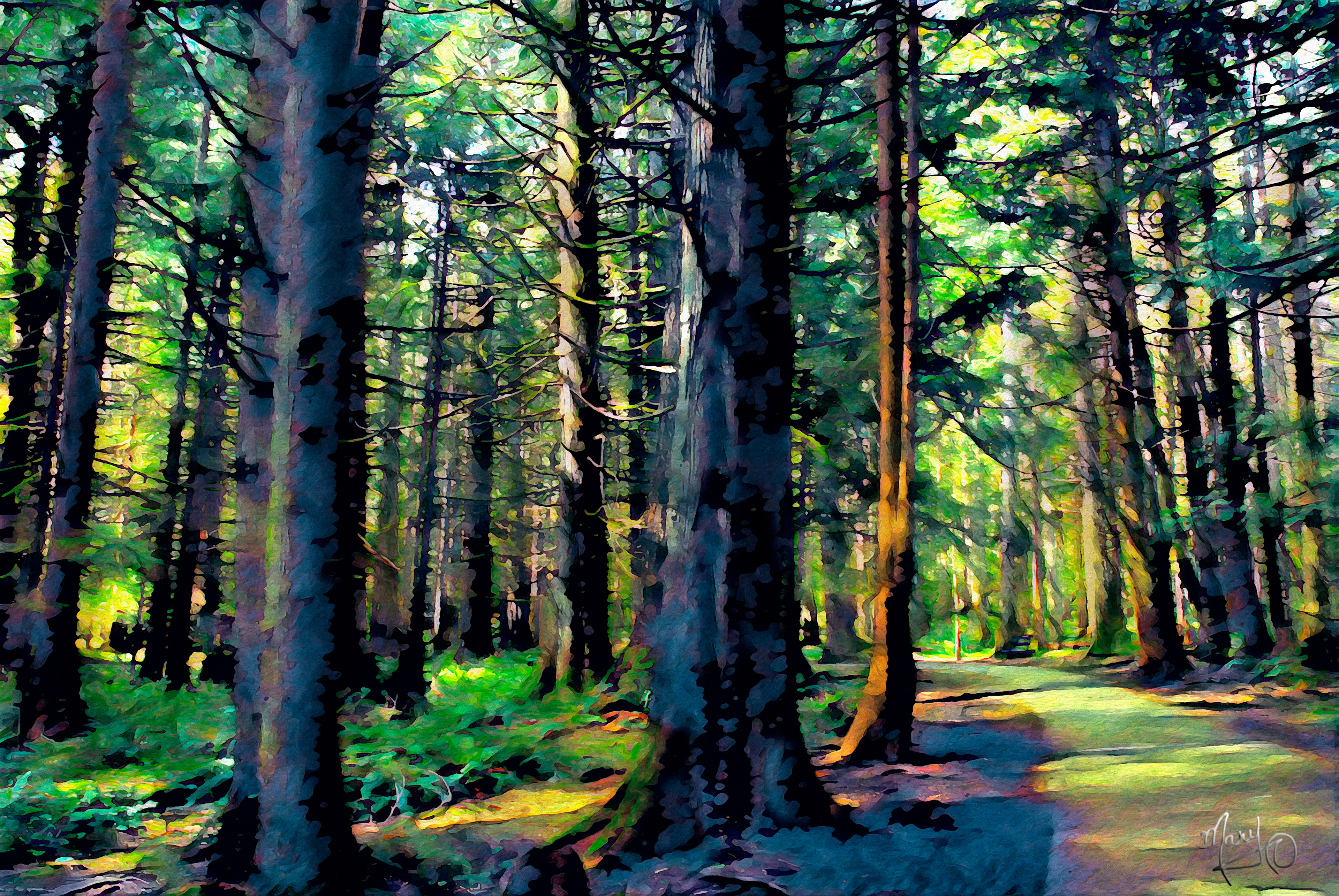 Colliery Dam Park VI Series #6