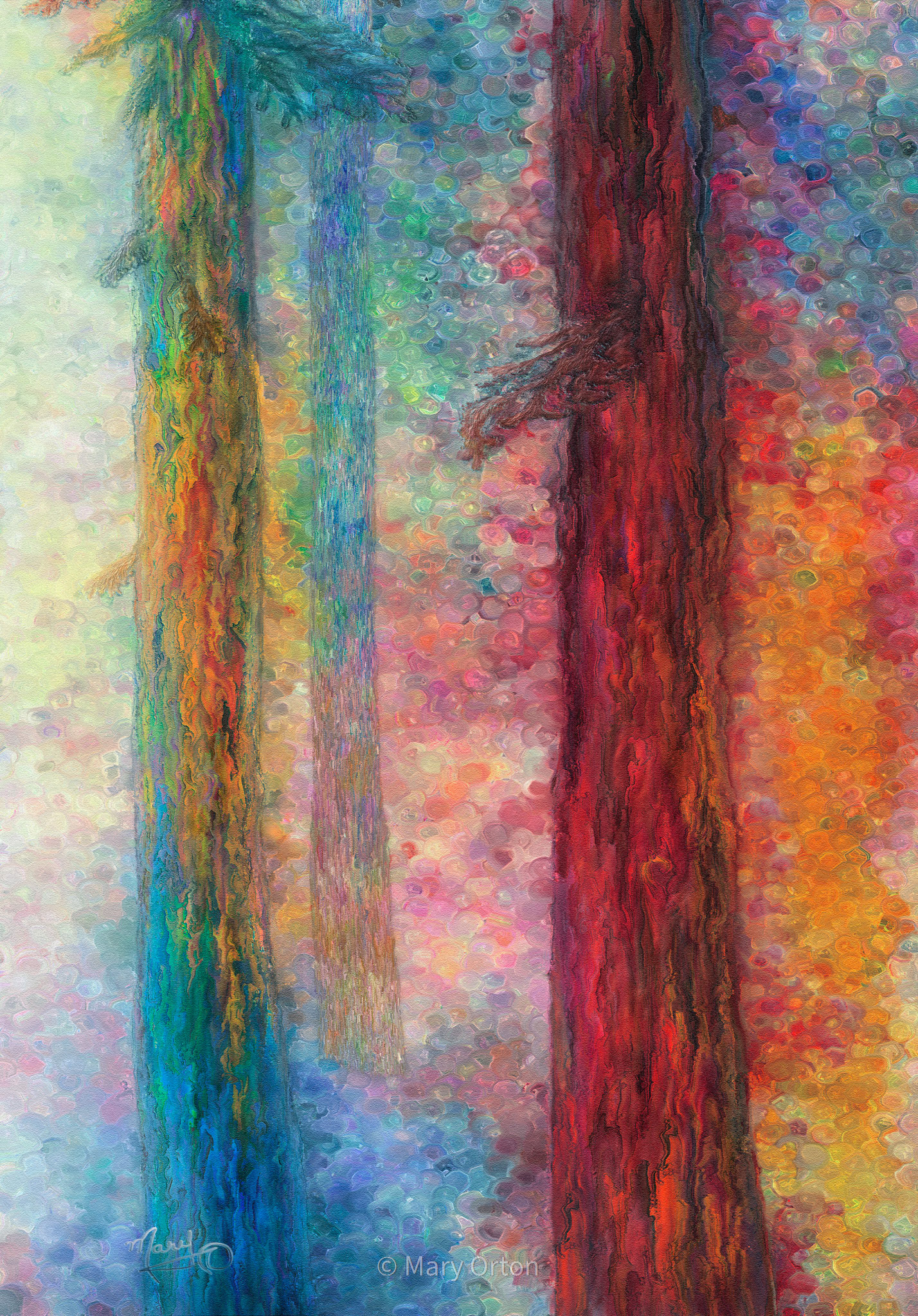 The Woods