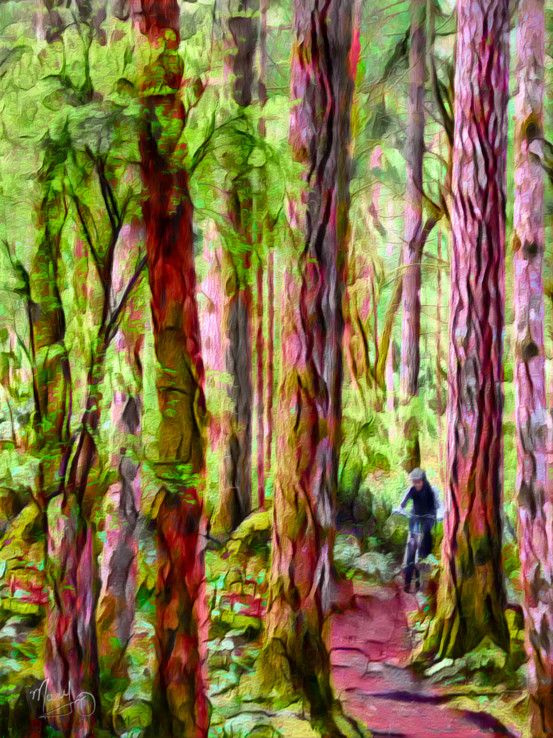 Linley Valley Park VI Series #25