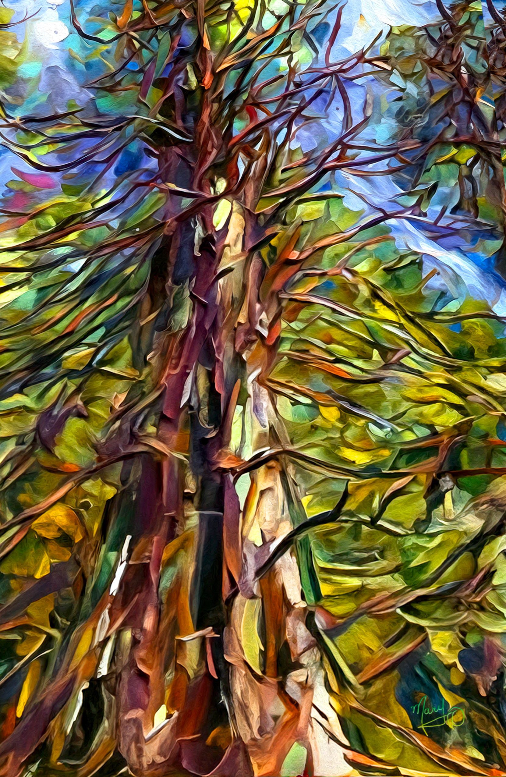 Along the Linley Valley Trail VI Series # 51