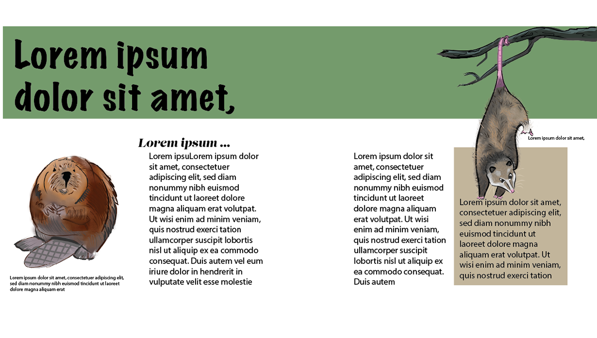 Adobe InDesign, 2026
