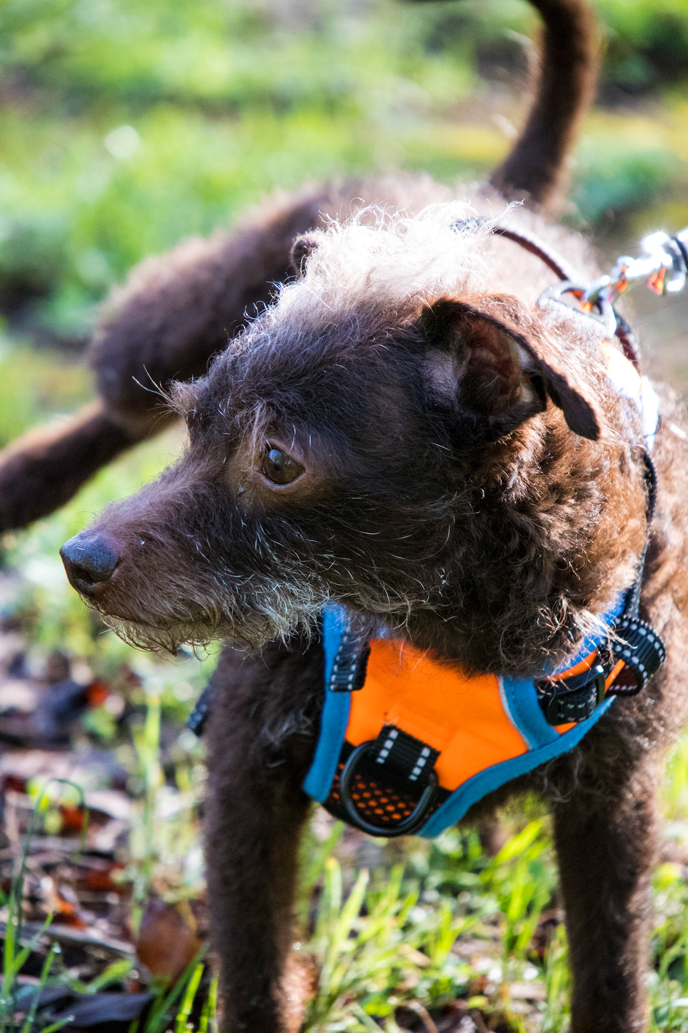 Captering The Moment