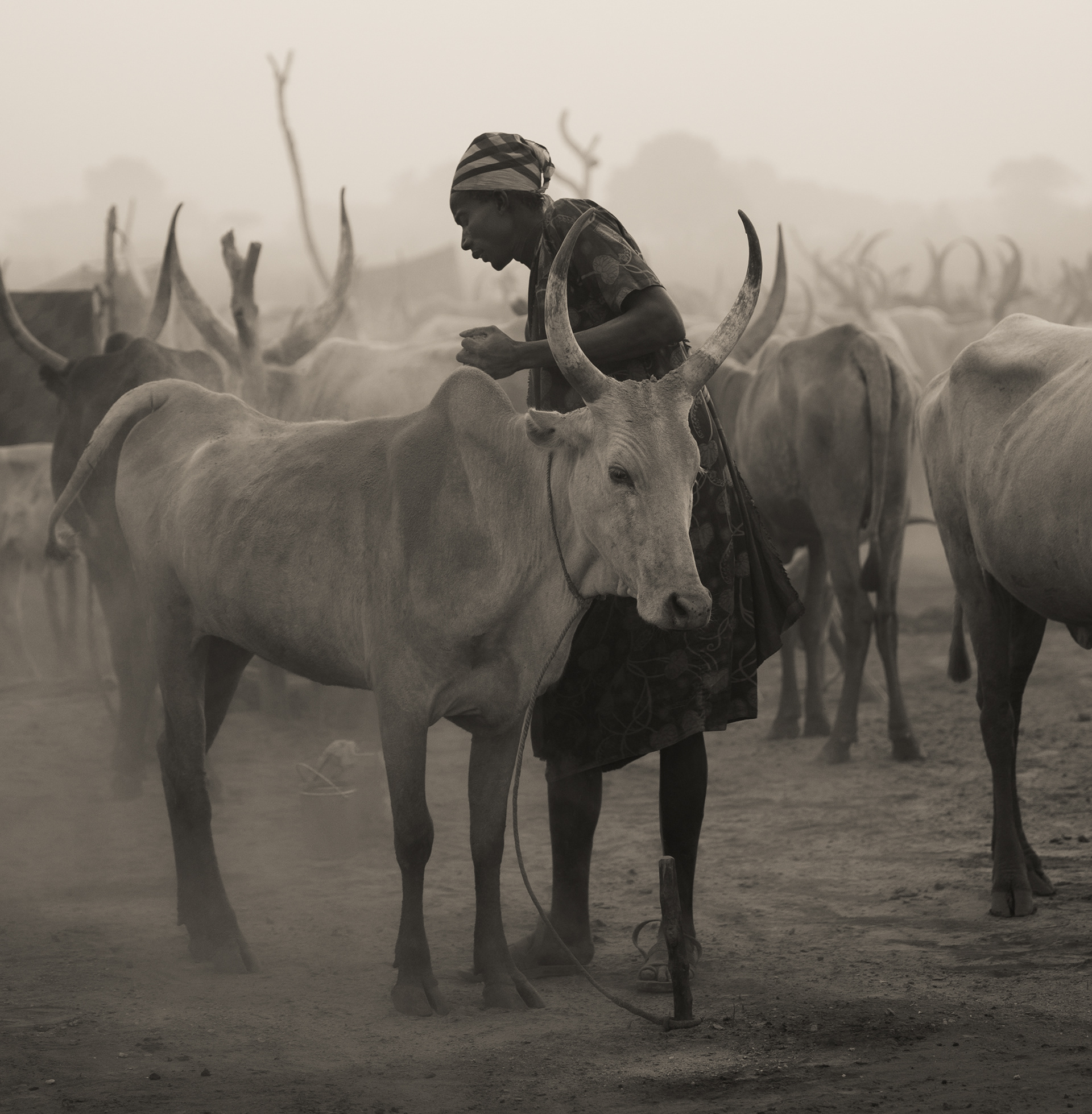 Rubbing ash for protection from the insects