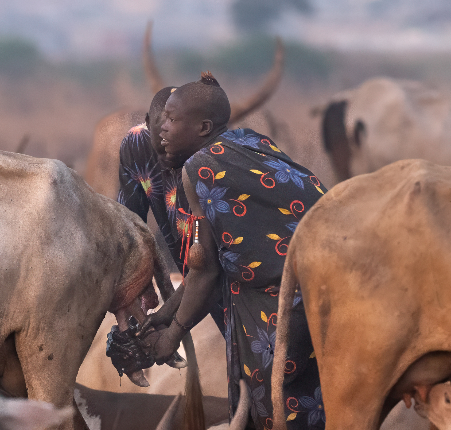 New life in the early hours