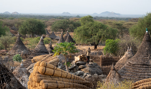 Laarim tribal village in the Boya Hills near Kimatong.  The harvested bundles are used in their hut walls and roof. 