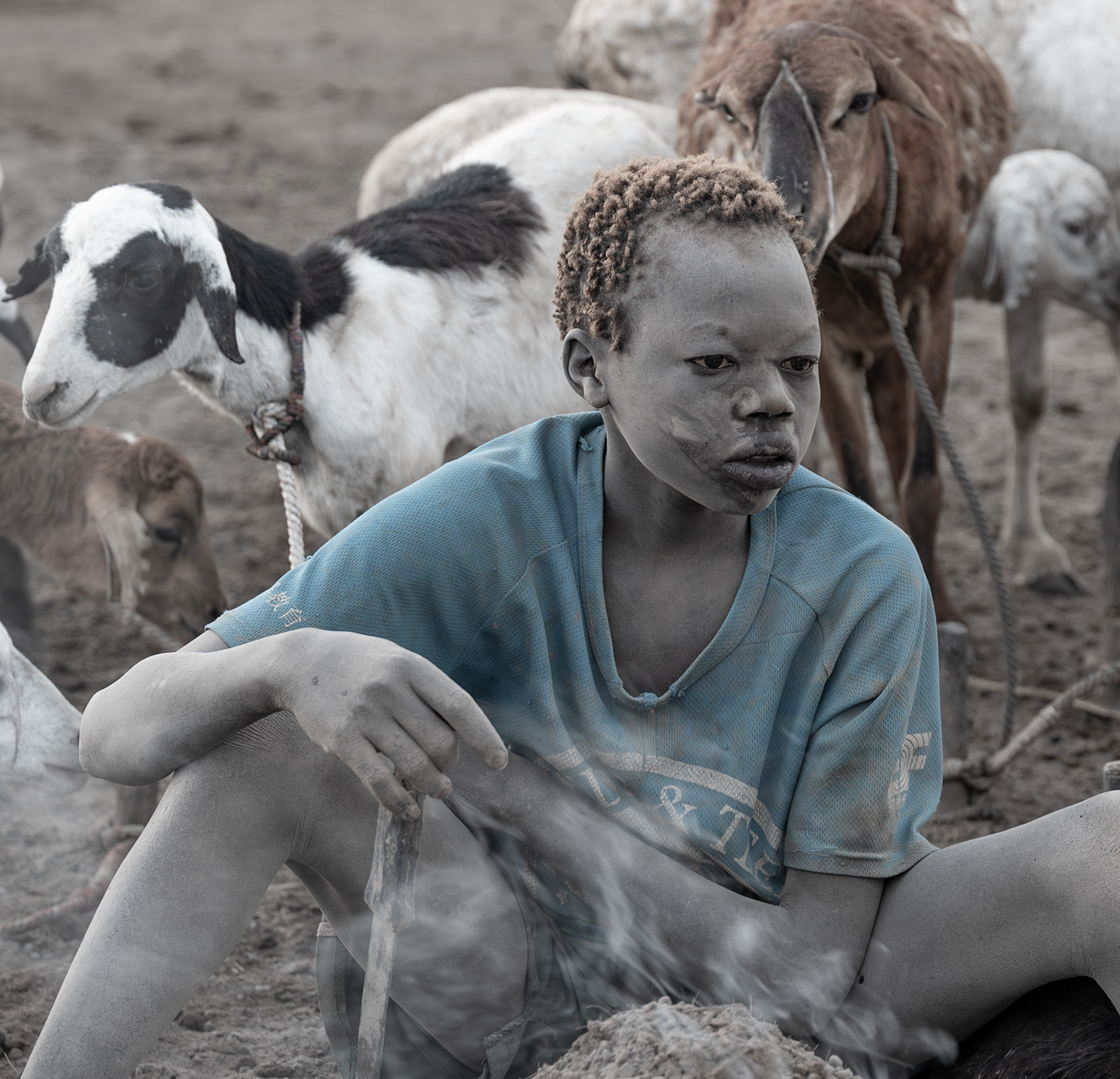 Mundari boy (with urine died hair) tending his goats
