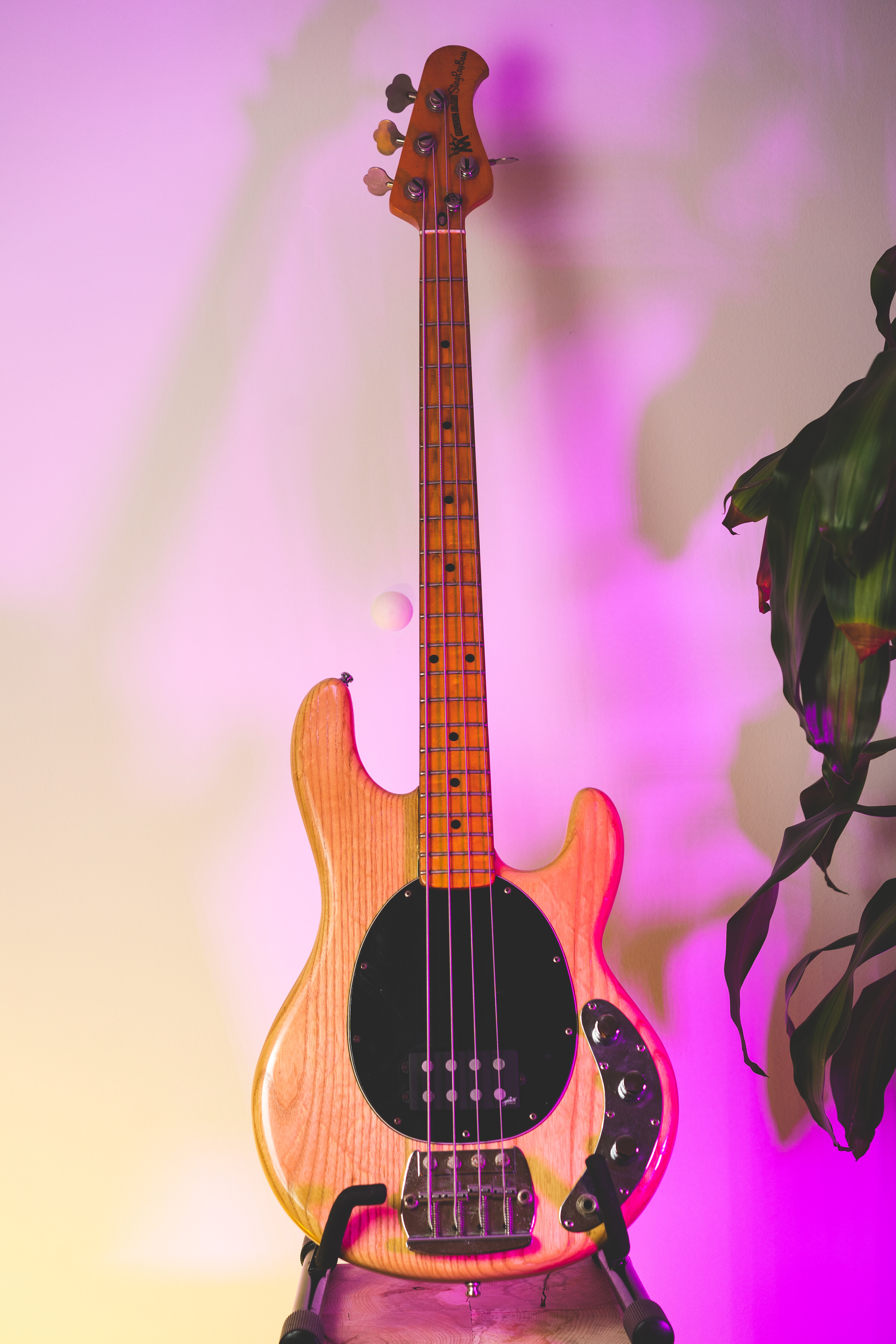 1977 Musicman Sting Ray