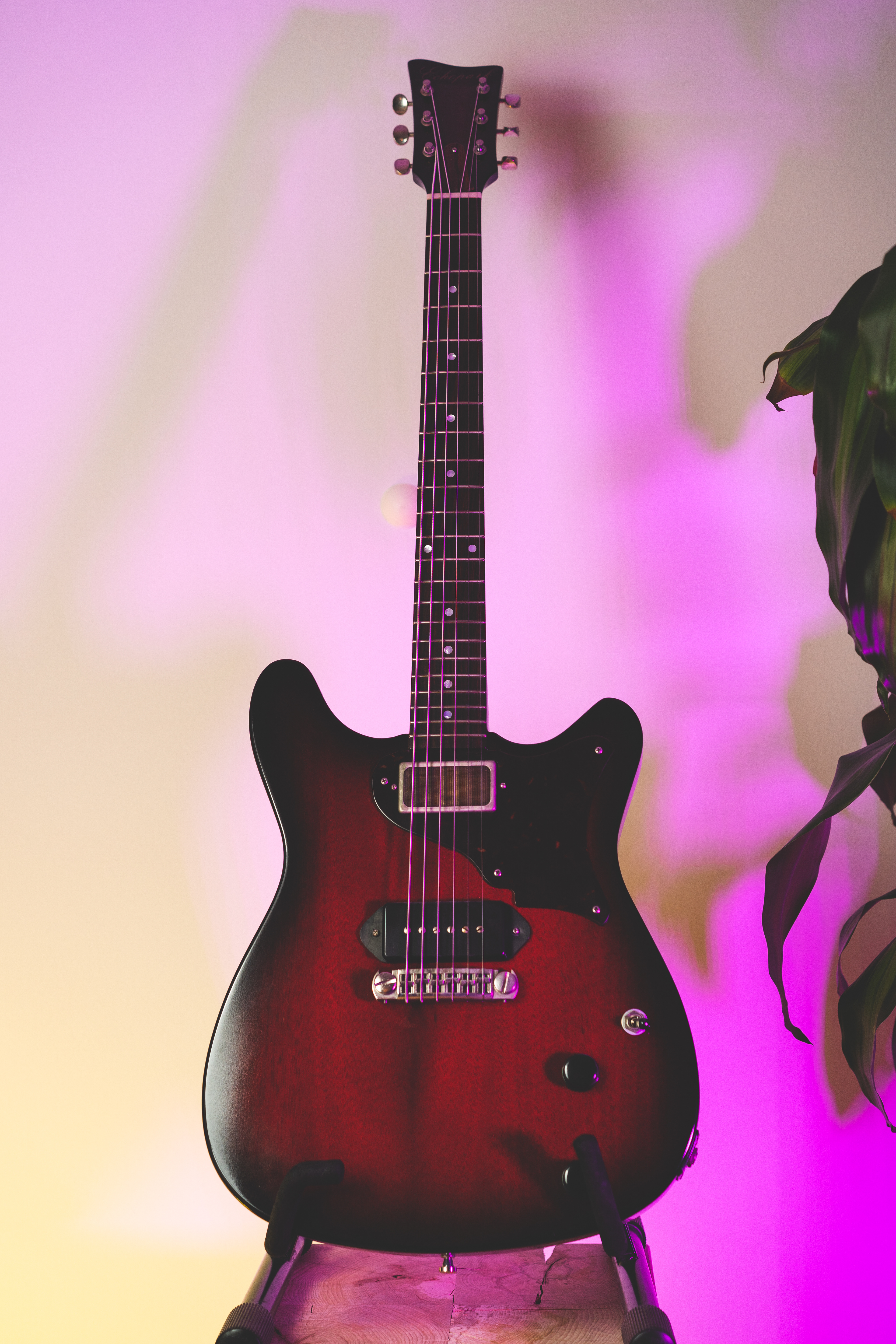 2017 Echopark La Carne