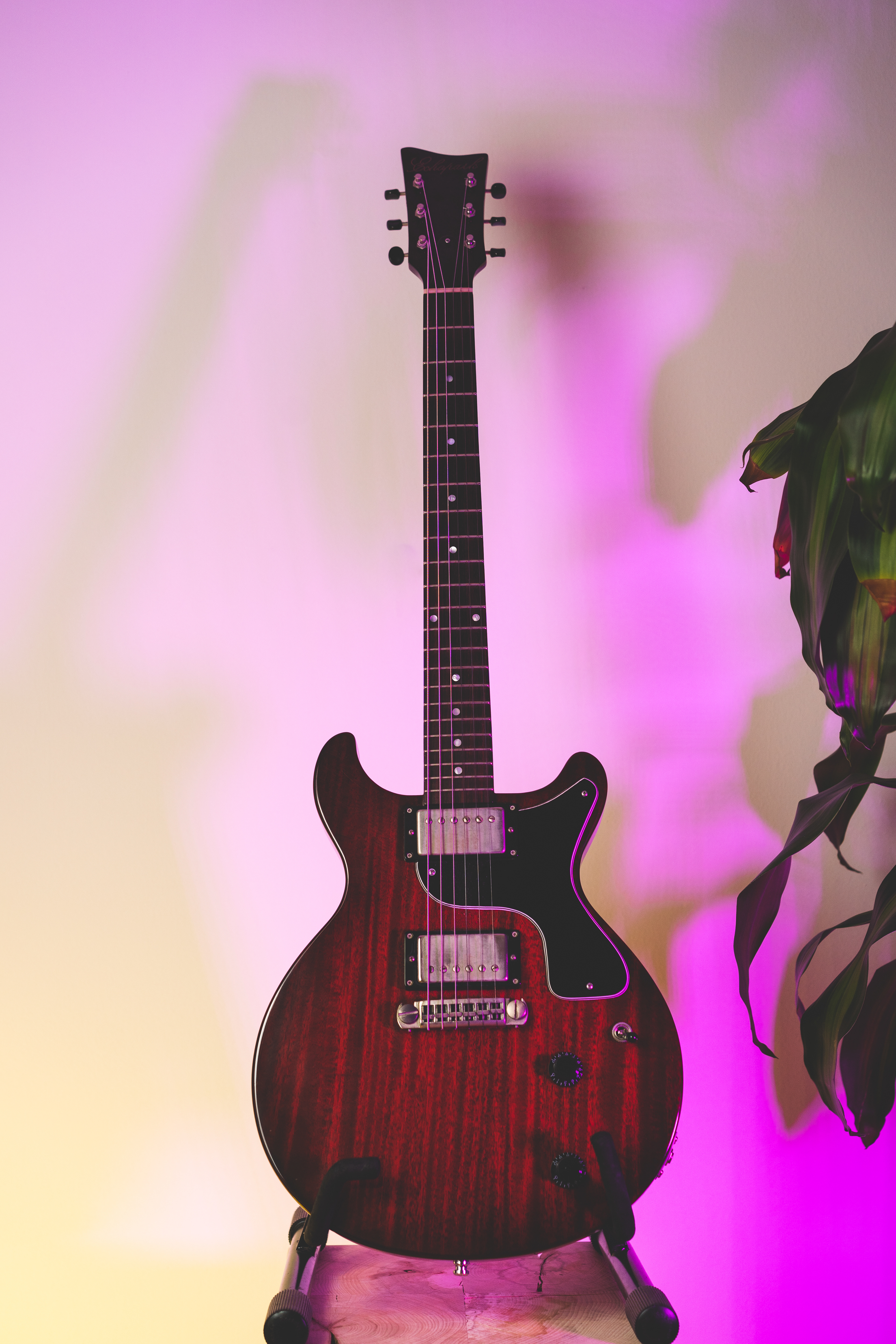 2015 Echopark '59 Custom