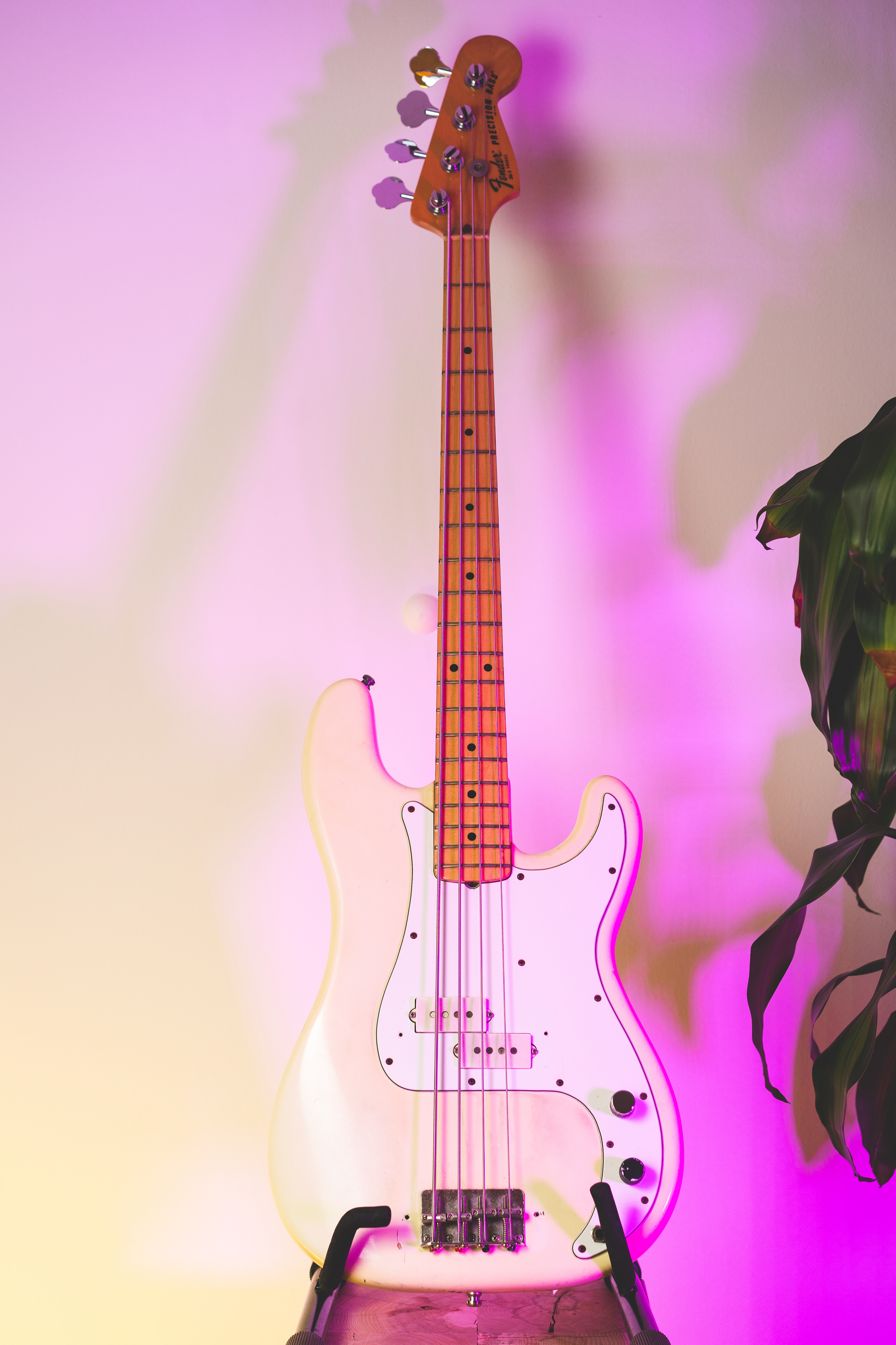 1981 Fender Precision Bass