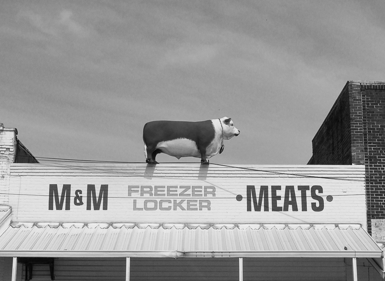 untitled 23, (12x18 Giclée Print) $200.00