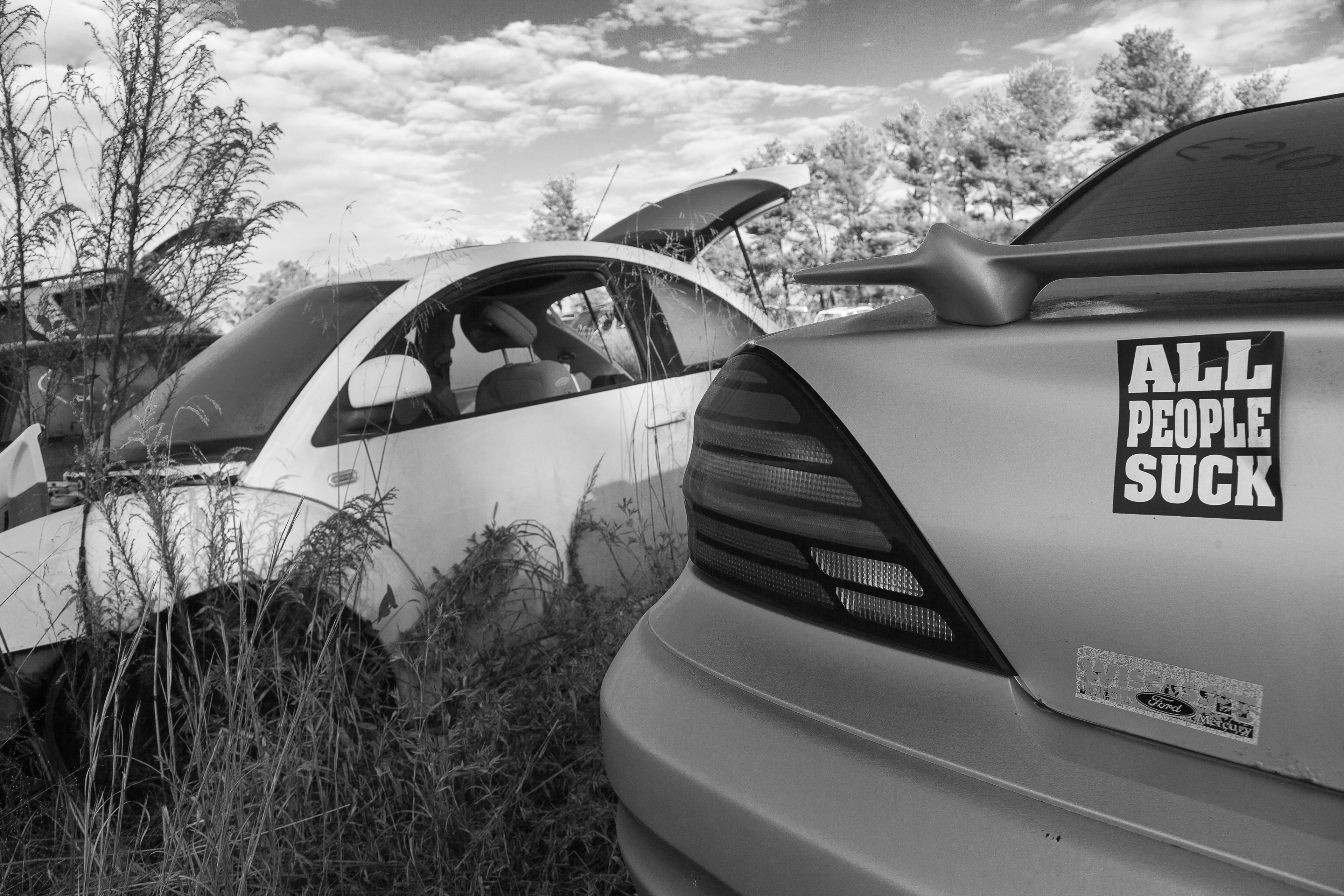 untitled 45, (12x18 Giclée Print) $200.00