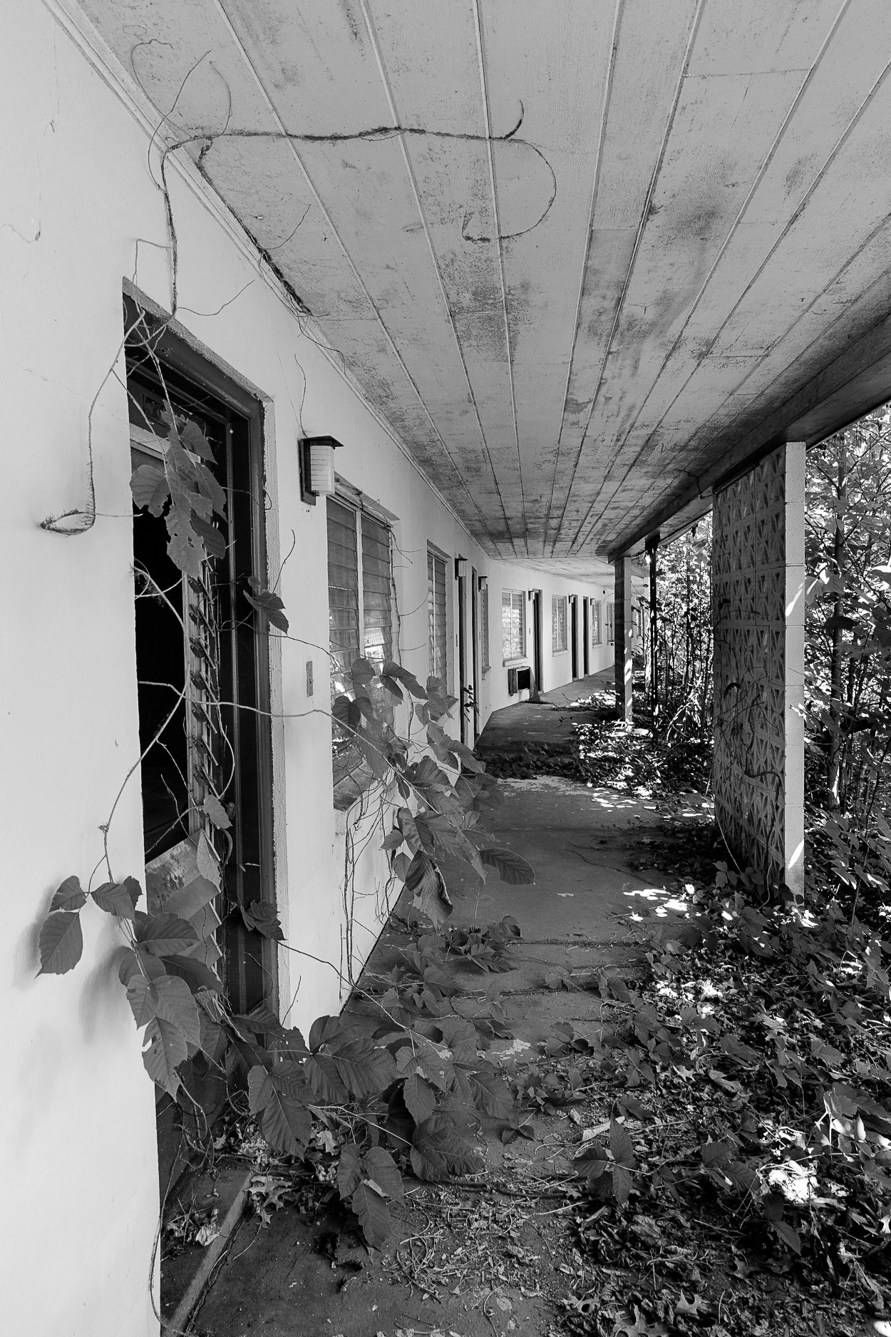 untitled 9, (12x18 Giclée Print) $200.00