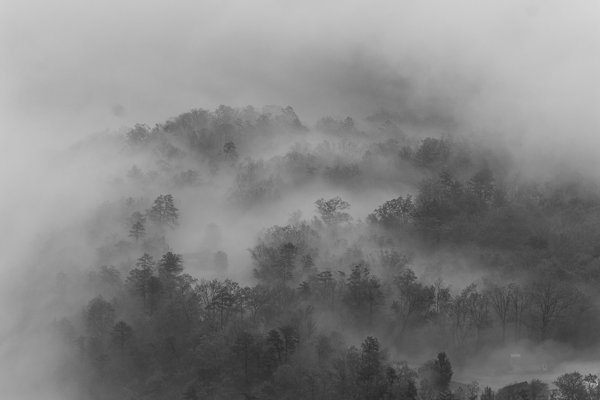 untitled 46, (12x18 Giclée Print) $200.00