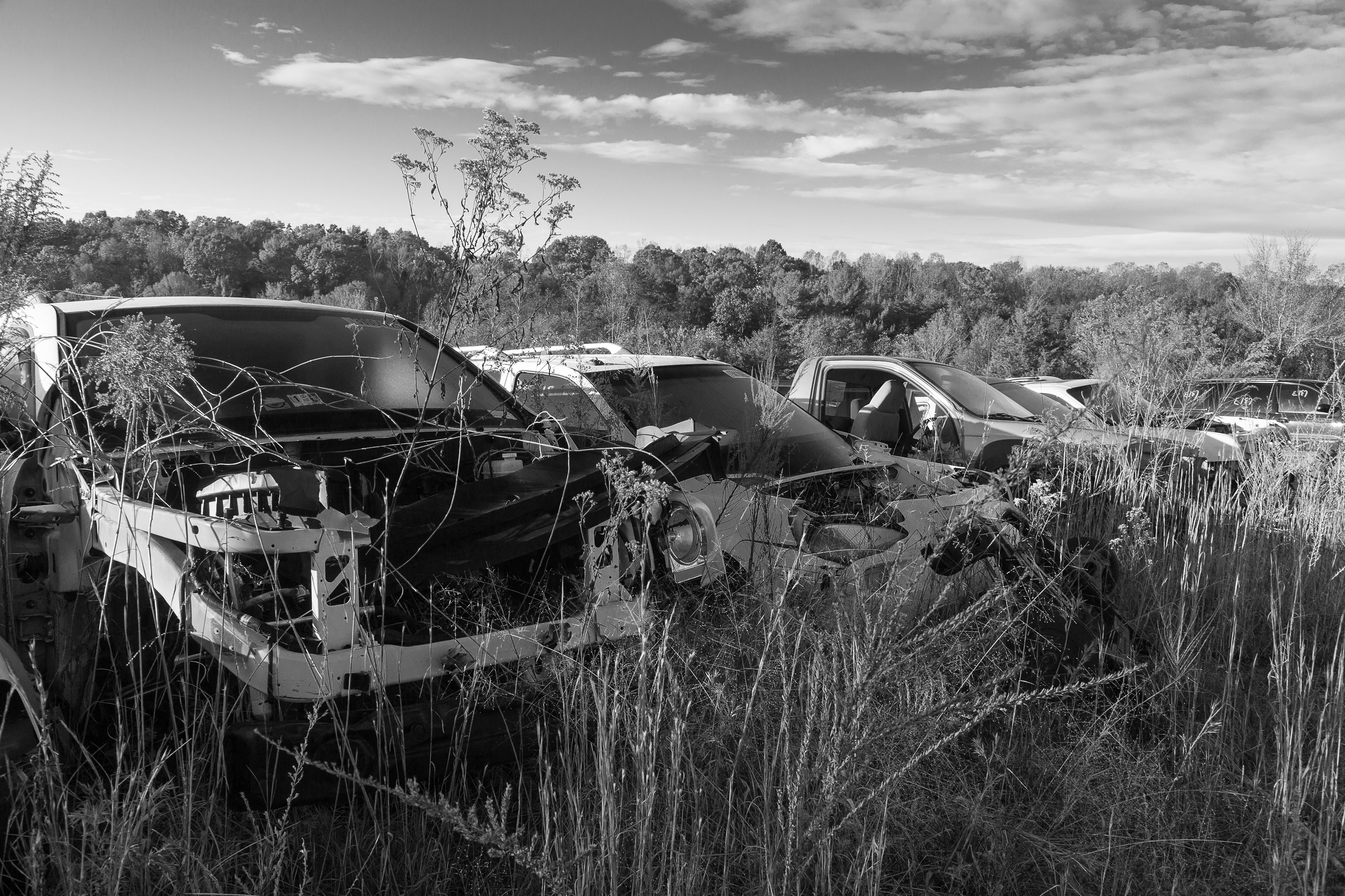 untitled 44, (12x18 Giclée Print) $200.00