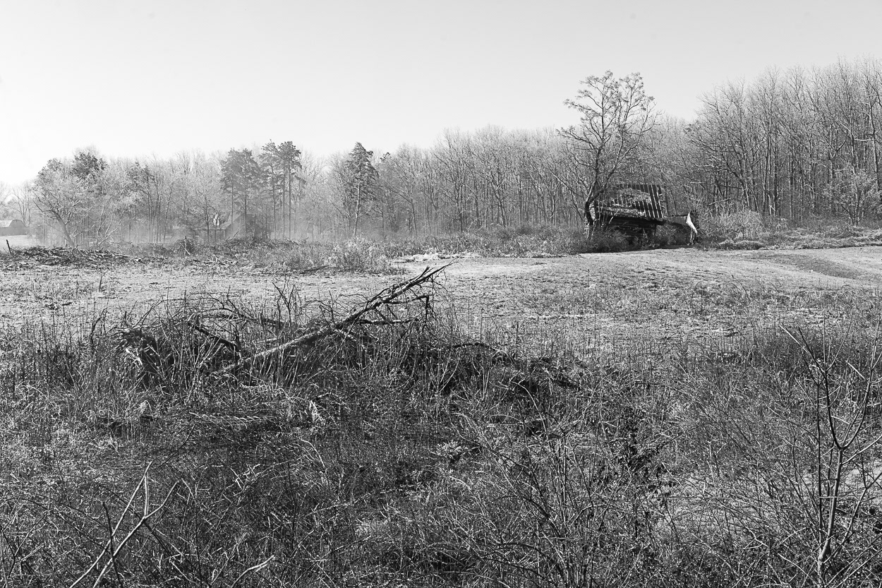 untitled 30, (12x18 Giclée Print) $200.00