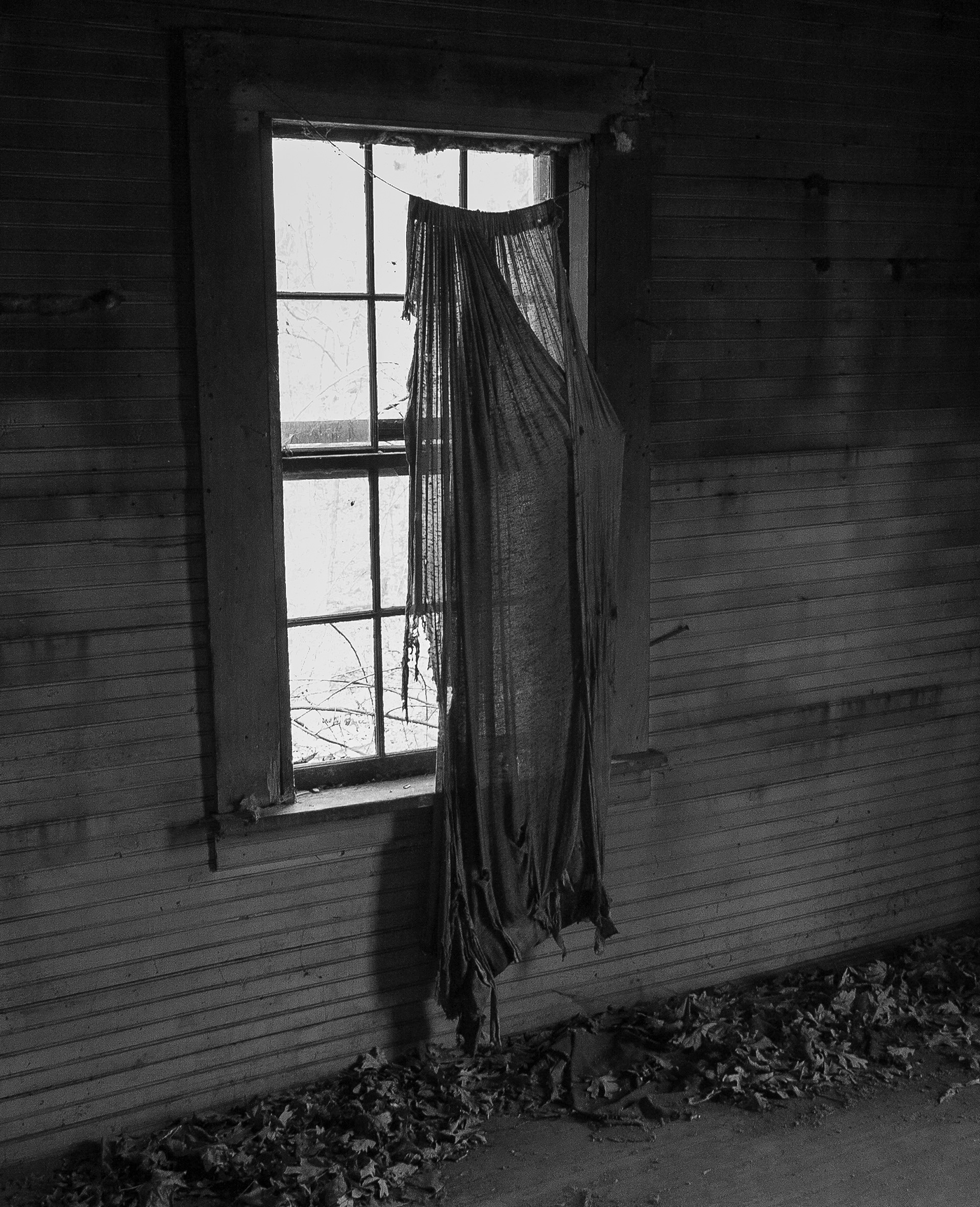 untitled 40, (12x18 Giclée Print) $200.00