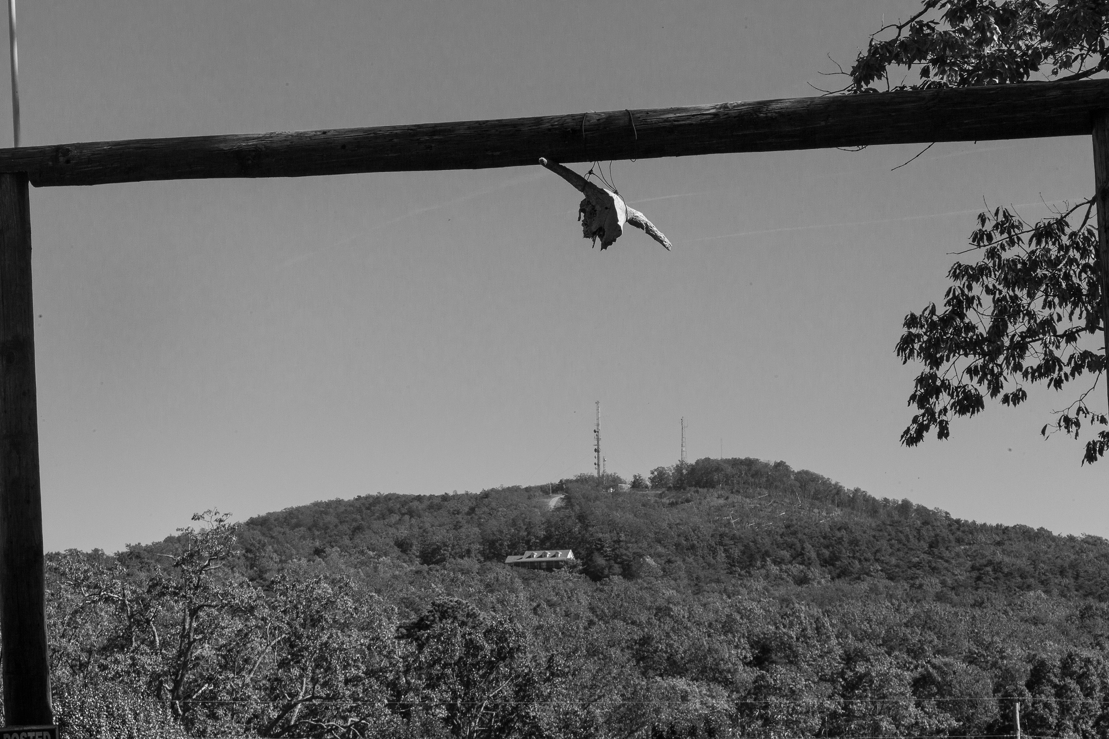 untitled 48, (12x18 Giclée Print) $200.00