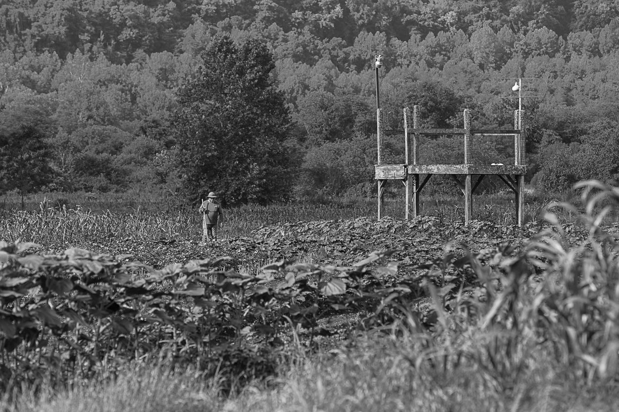 untitled 35, (12x18 Giclée Print) $200.00