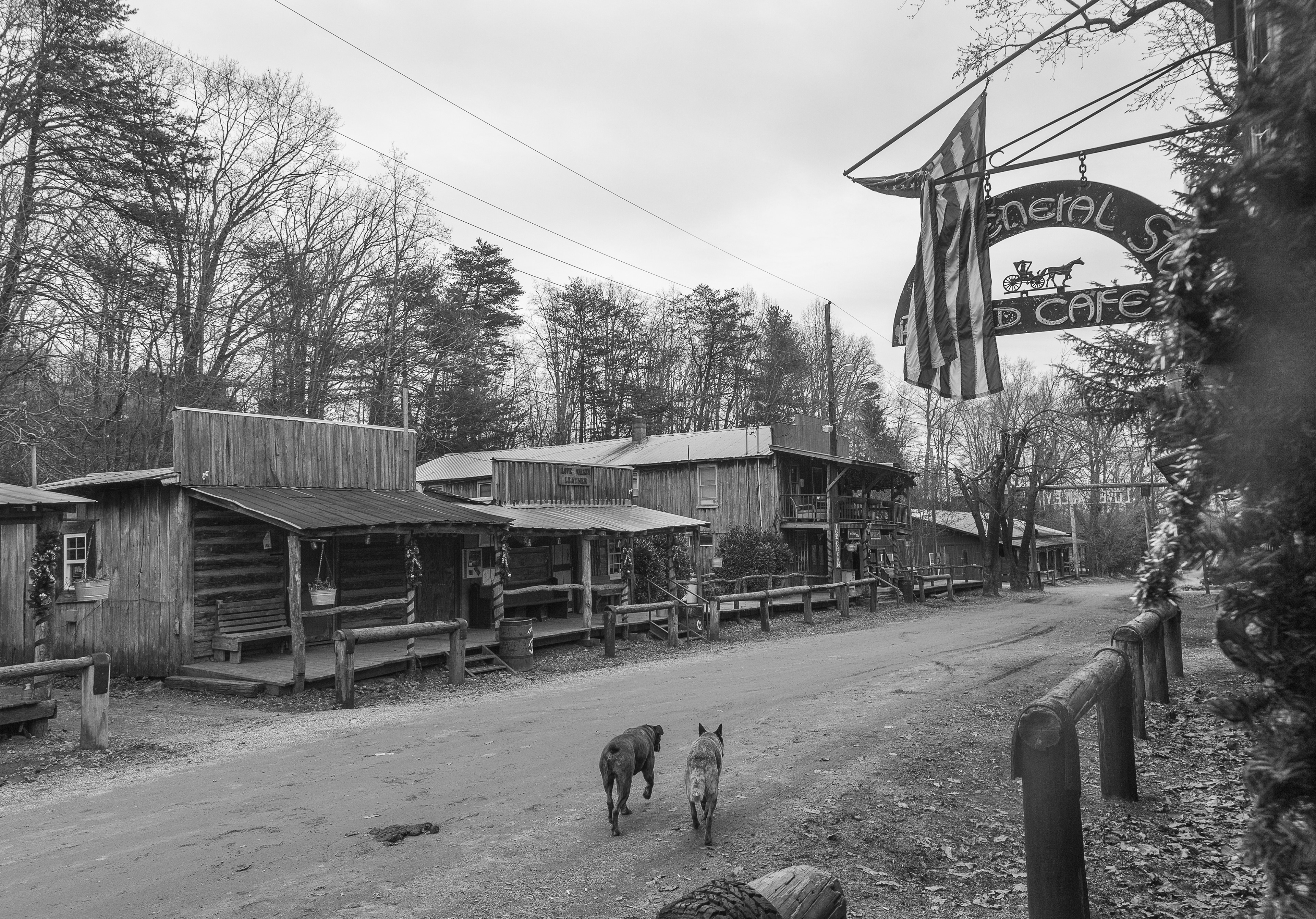 untitled 47, (12x18 Giclée Print) $200.00