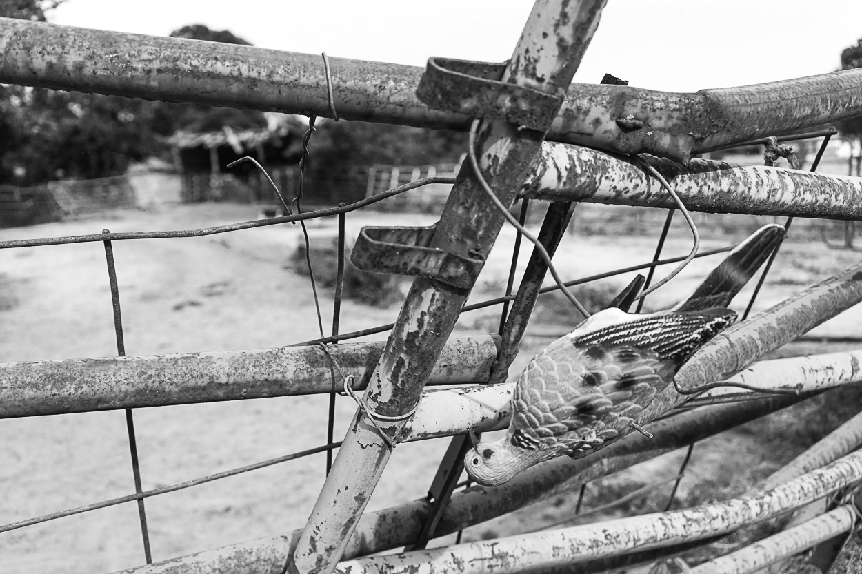 untitled 22, (12x18 Giclée Print) $200.00