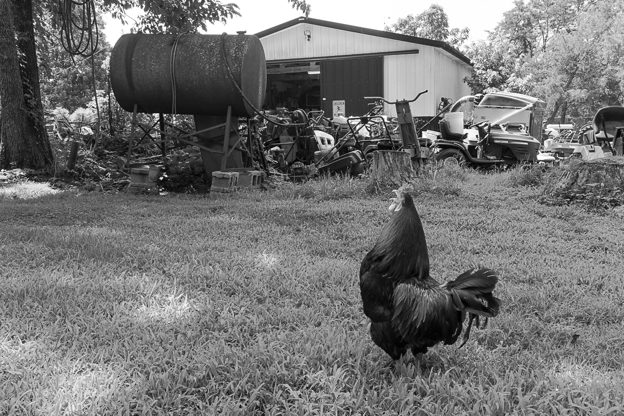 untitled 16, (12x18 Giclée Print) $200.00