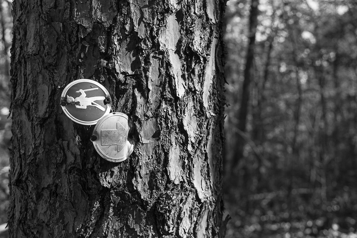 untitled 34, (12x18 Giclée Print) $200.00