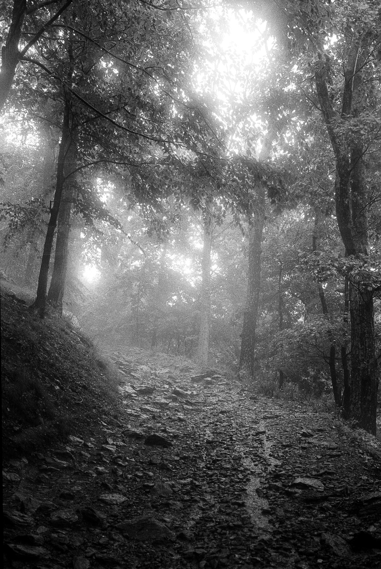 untitled 32, (12x18 Giclée Print) $200.00