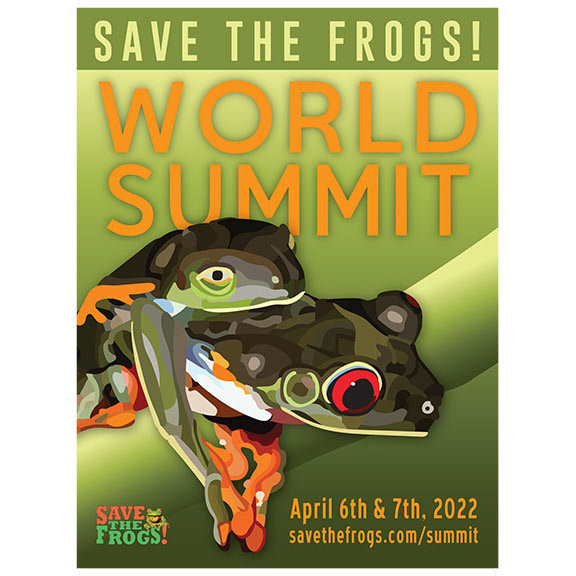 Illustrated Poster