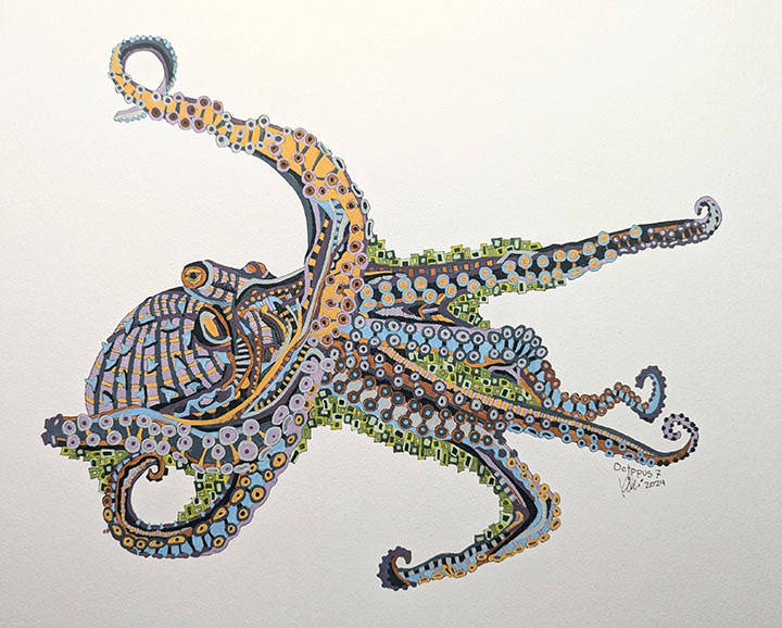 Octopus 7