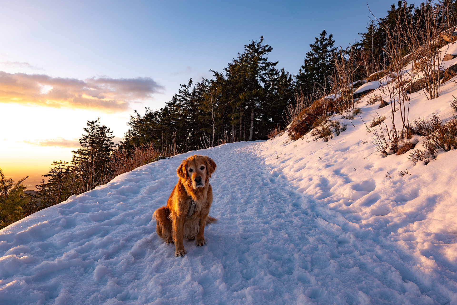 Enjoying April snow in the Black Forest, Germany.