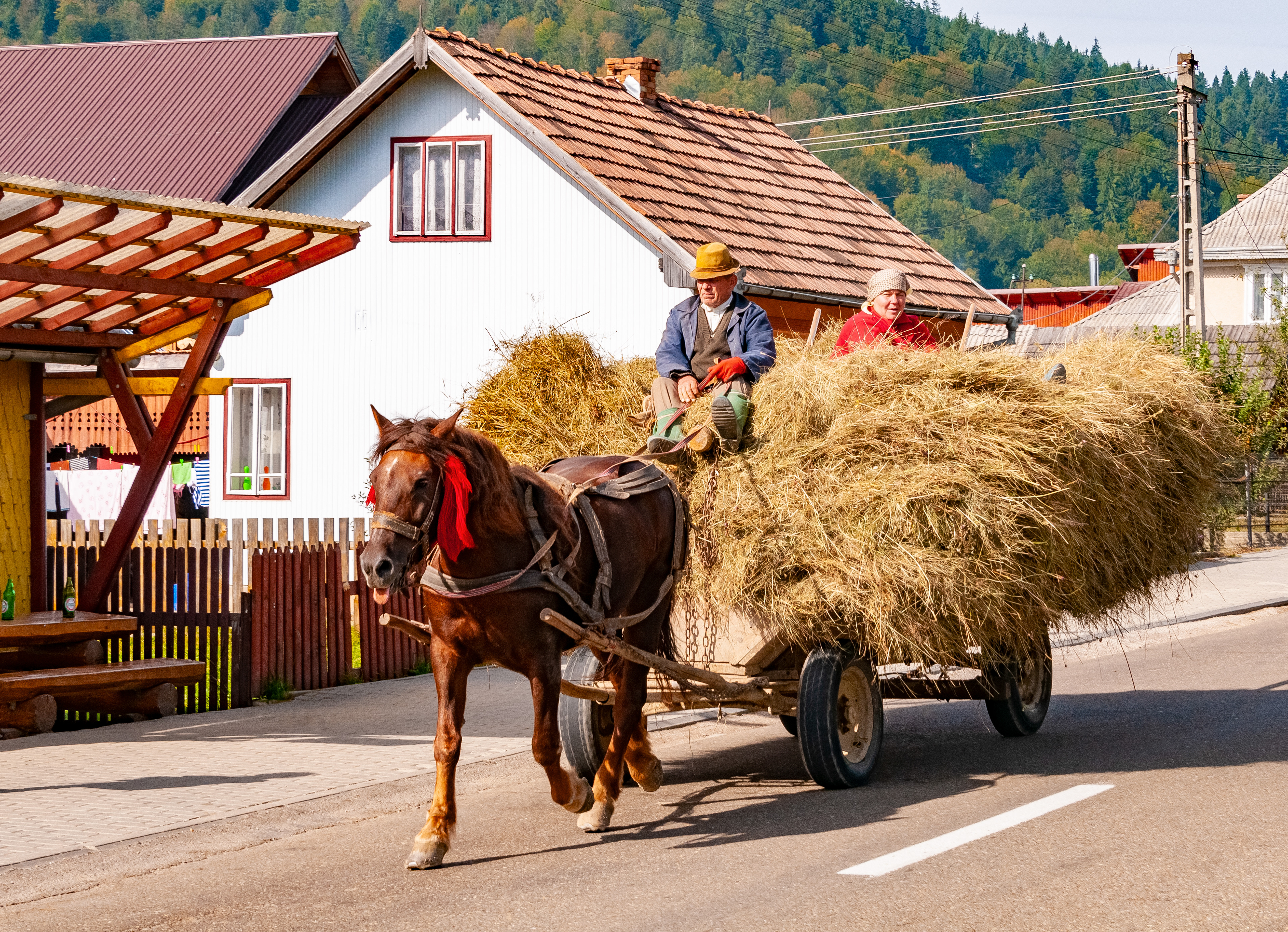 Horse-cart, Northern Romania, September 2014