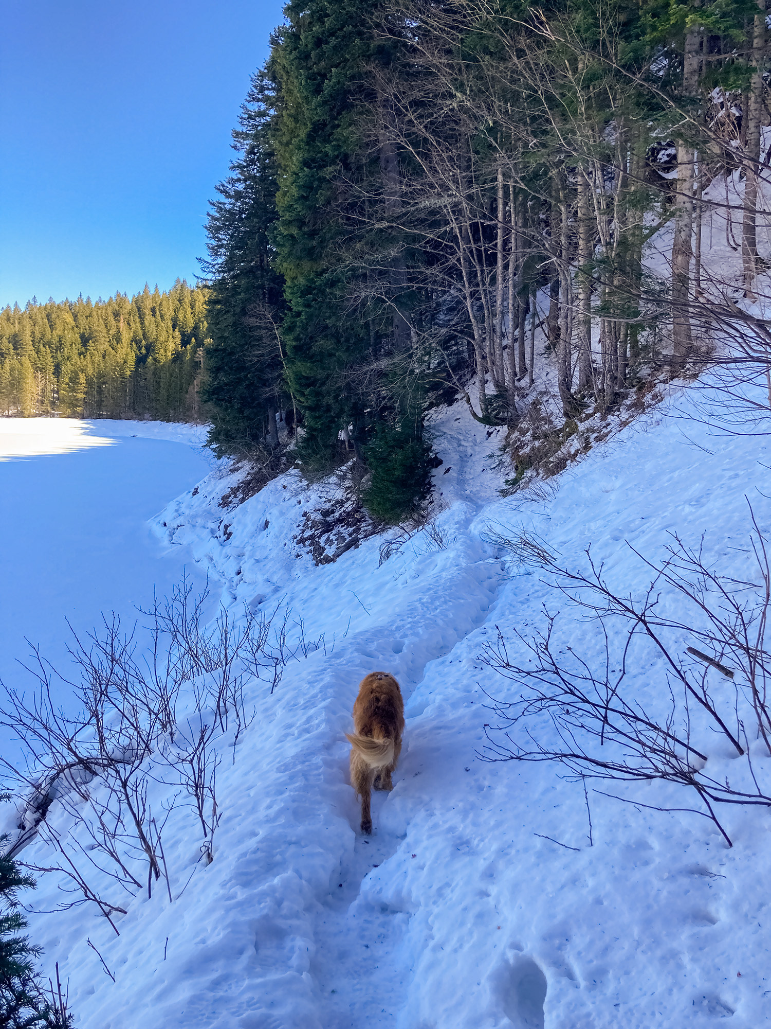 Montenegro // February 2026