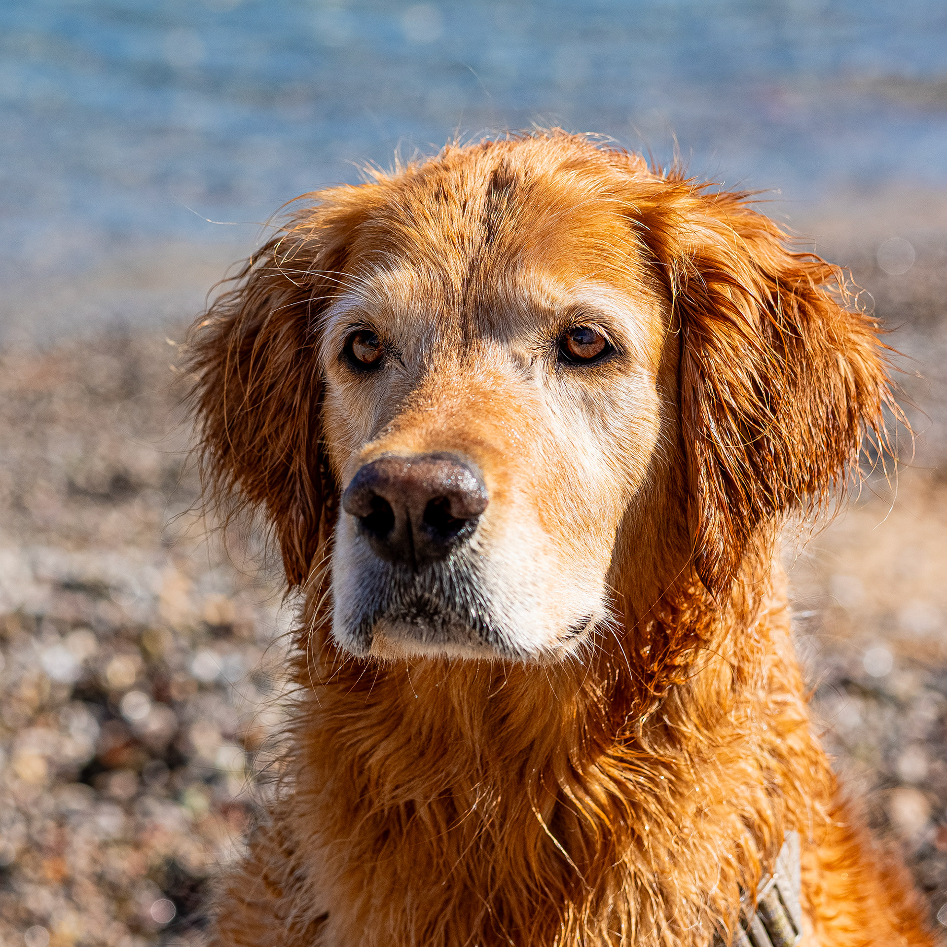 Enjoying the beach in Galaxidi, Greece.