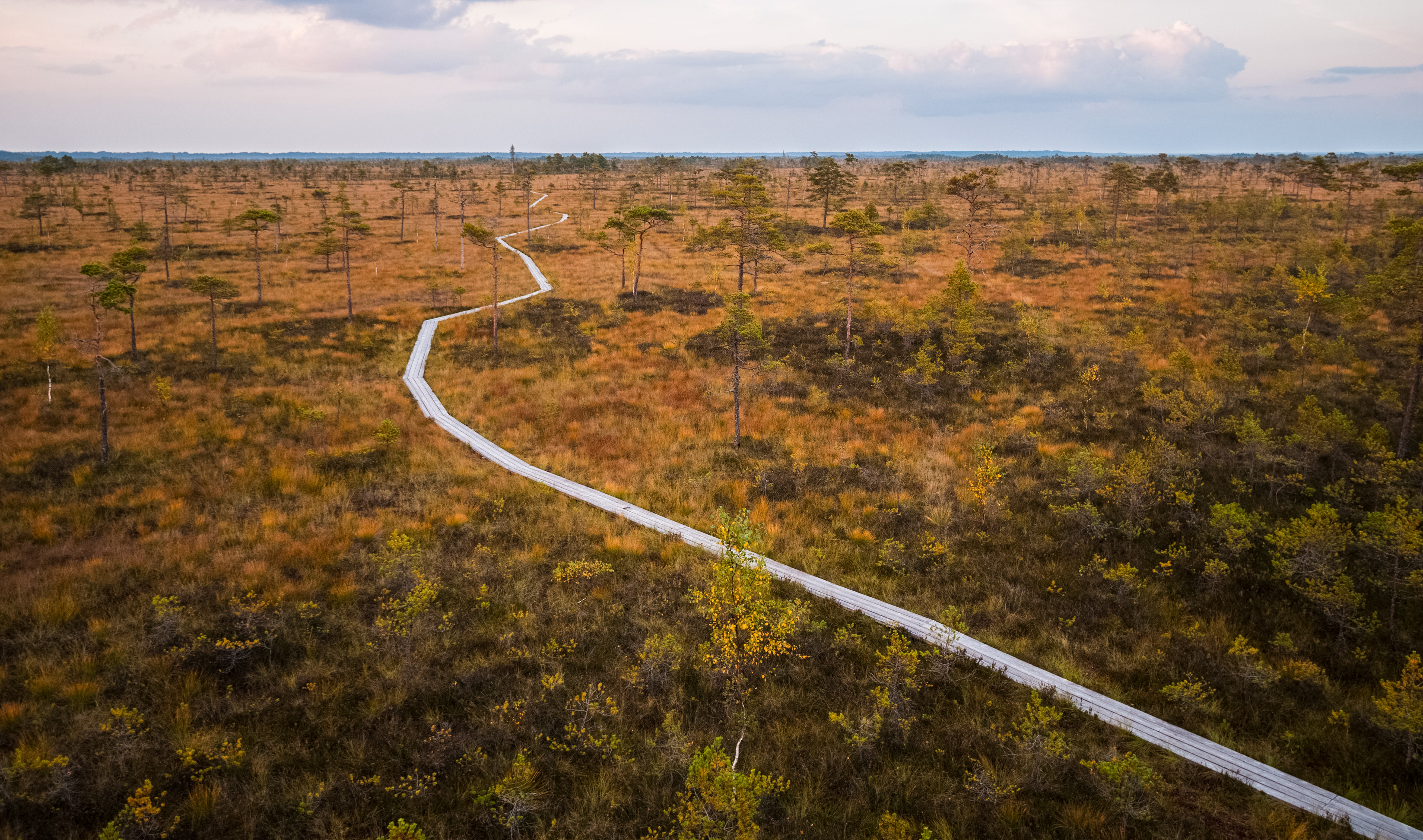 Soomaa, Estonia, September 2014