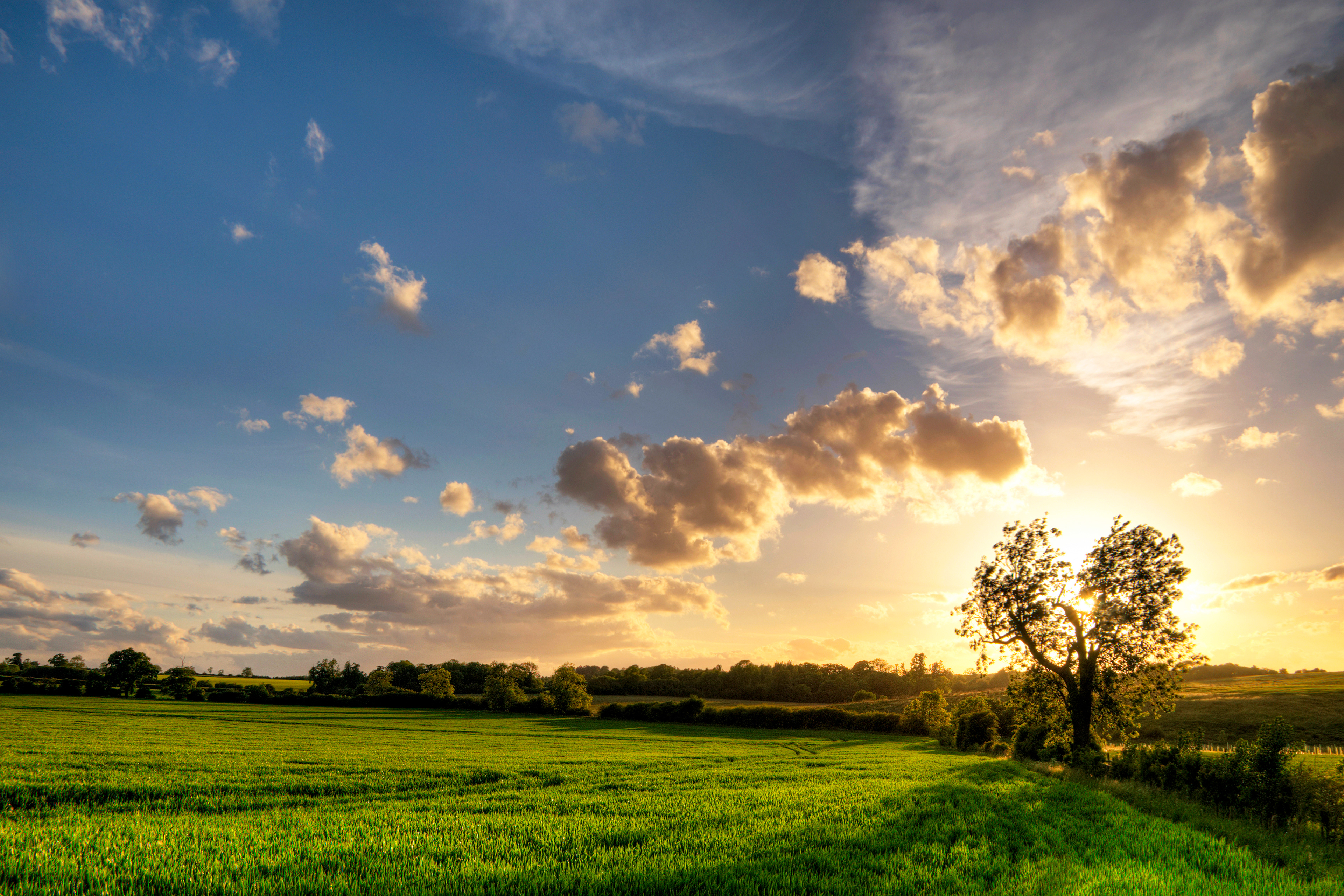 Ashby St Ledgers, England, UK, May 2011