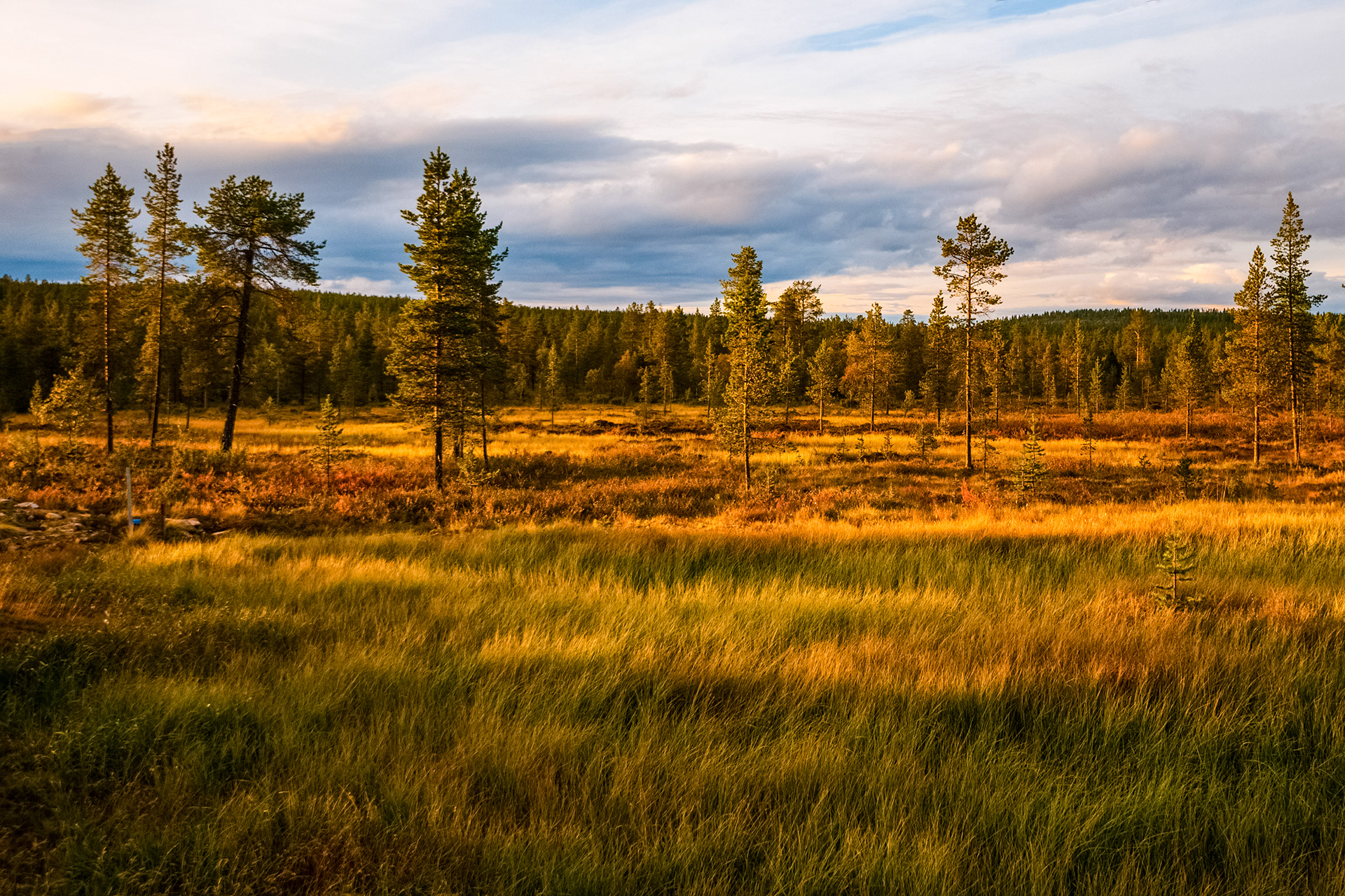Lapland, Finland, September 2014