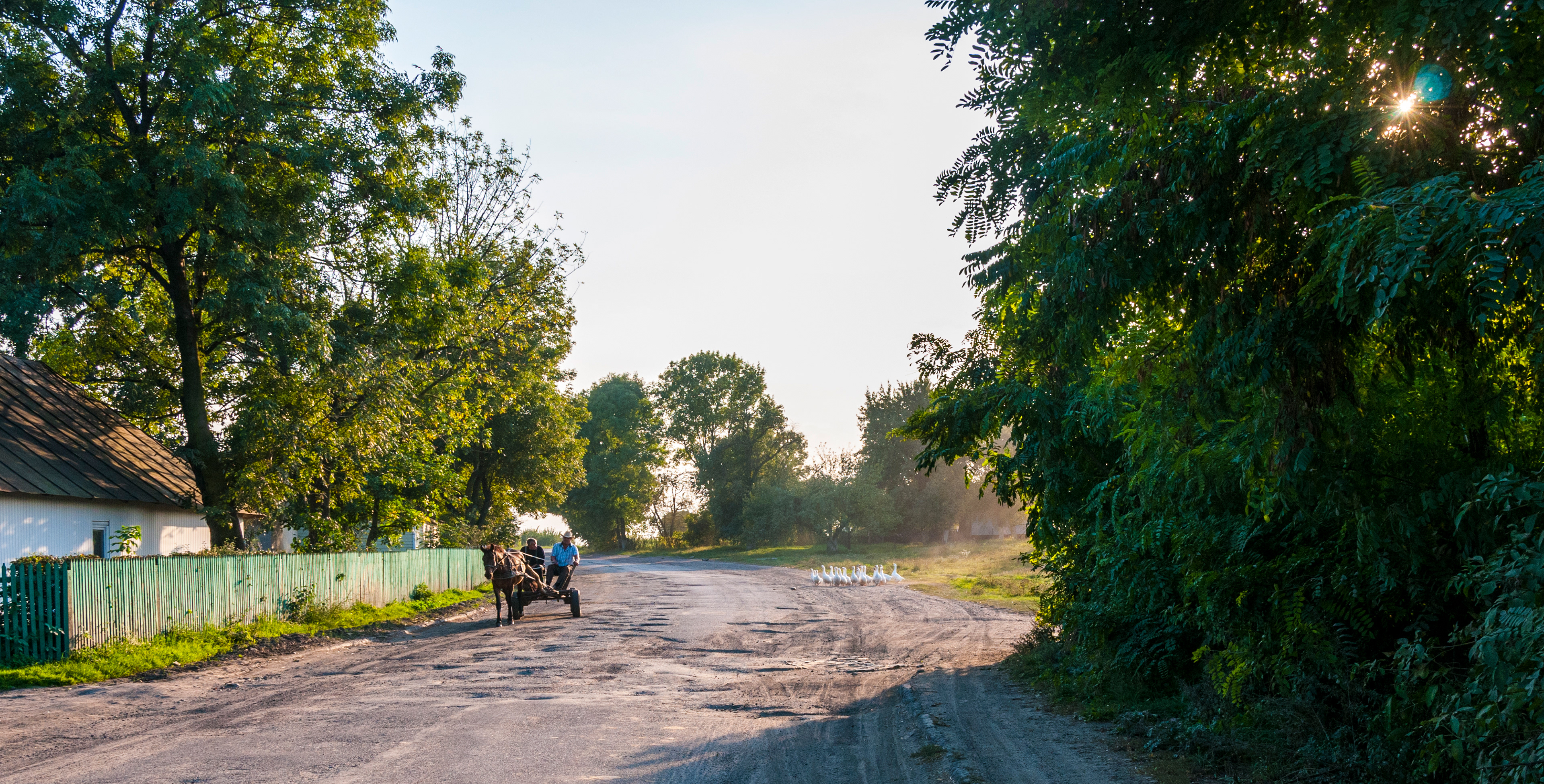 Along the P15, Ukraine, September 2014