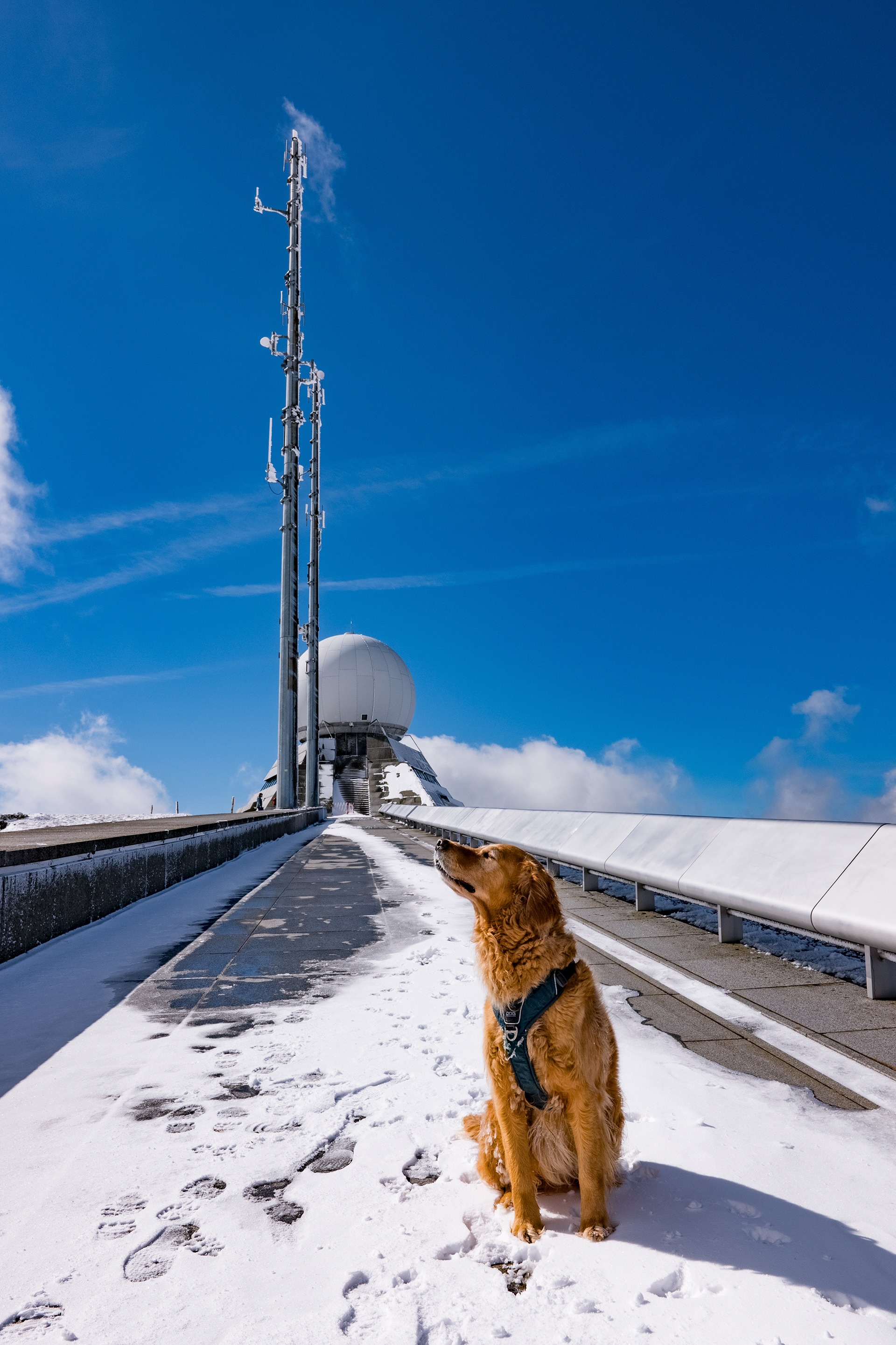 Enjoying the sunshine on top of the Grand Ballon, Vosges, France // March 2024