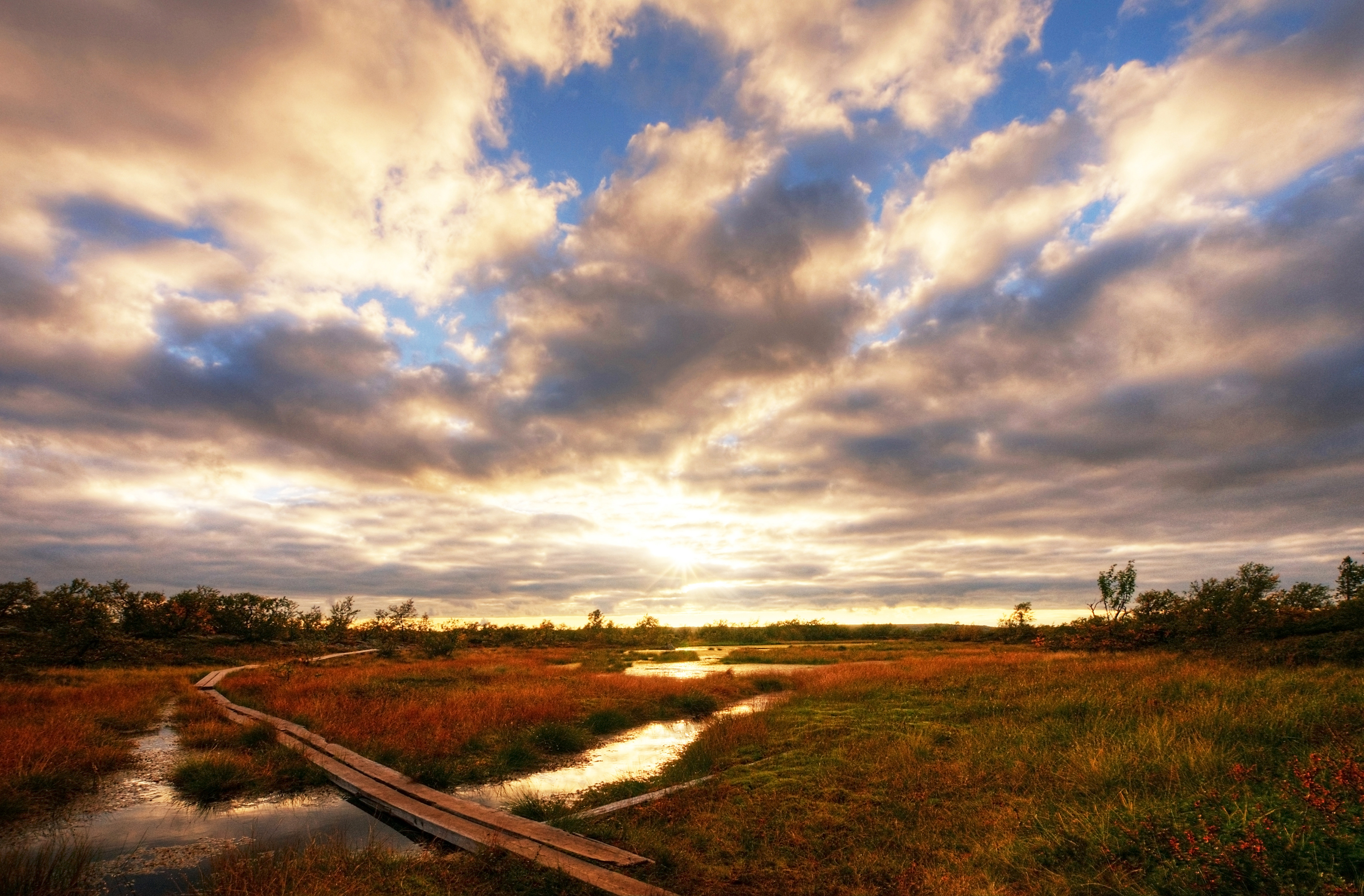 Fulufjället National Park, Sweden, August 2014