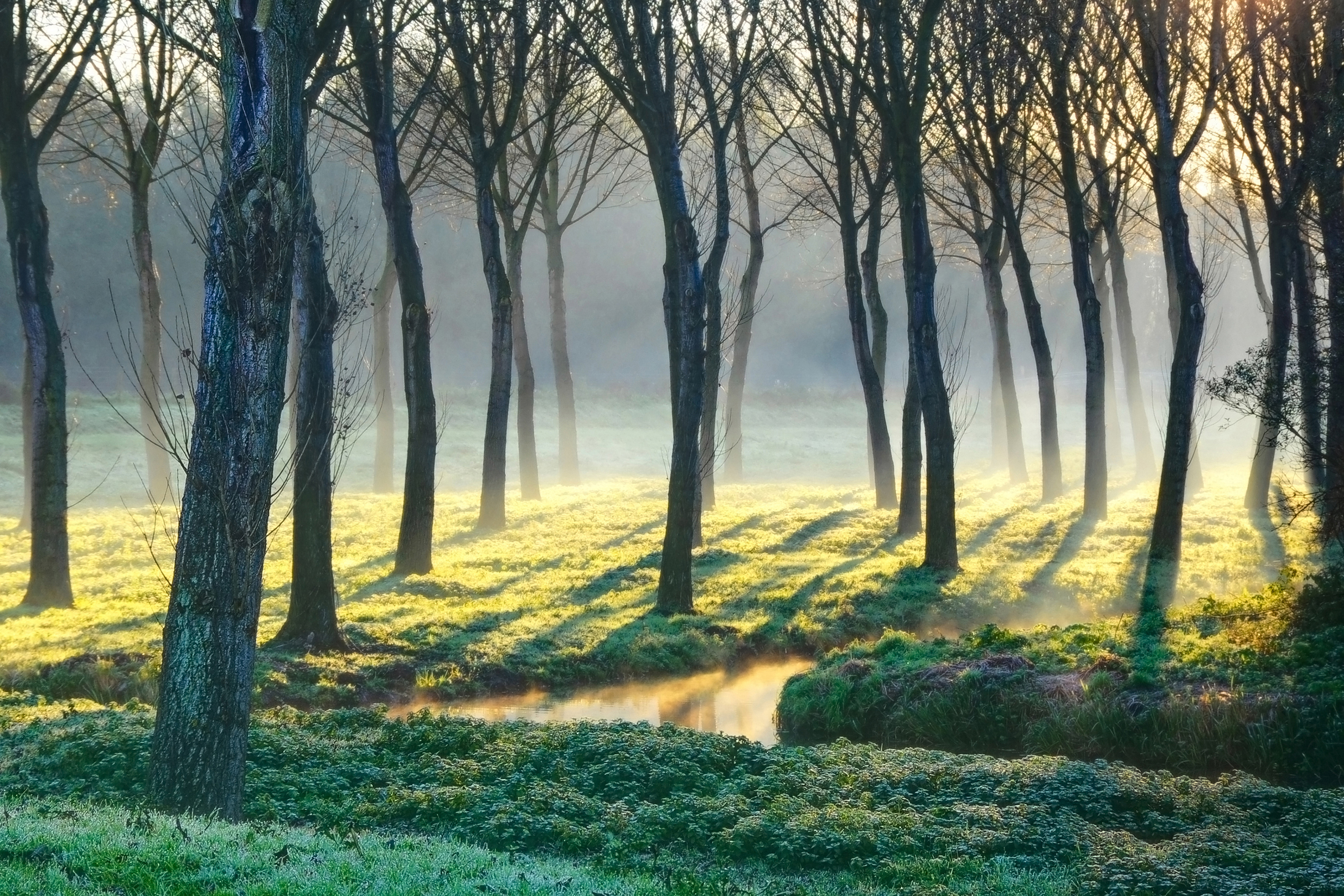 Pijnacker, the Netherlands // Nikon D300s + Nikon 18-200 mm // 55 mm, f/8, HDR composed of 9 exposures