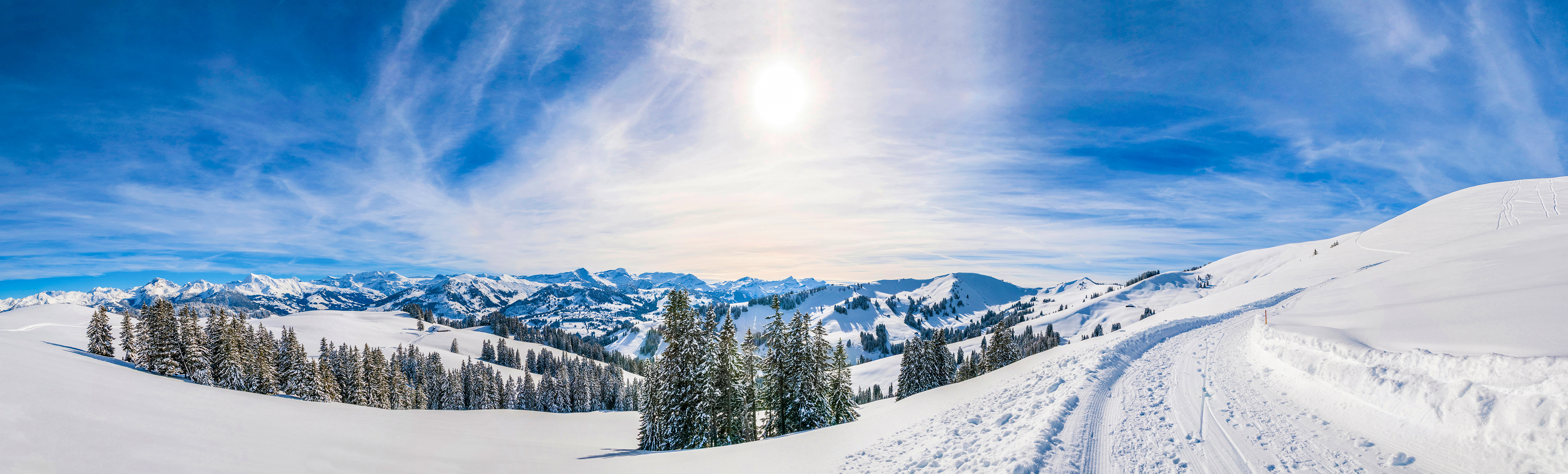 Sparenmoos, Zweisimmen, Switzerland, February 2013