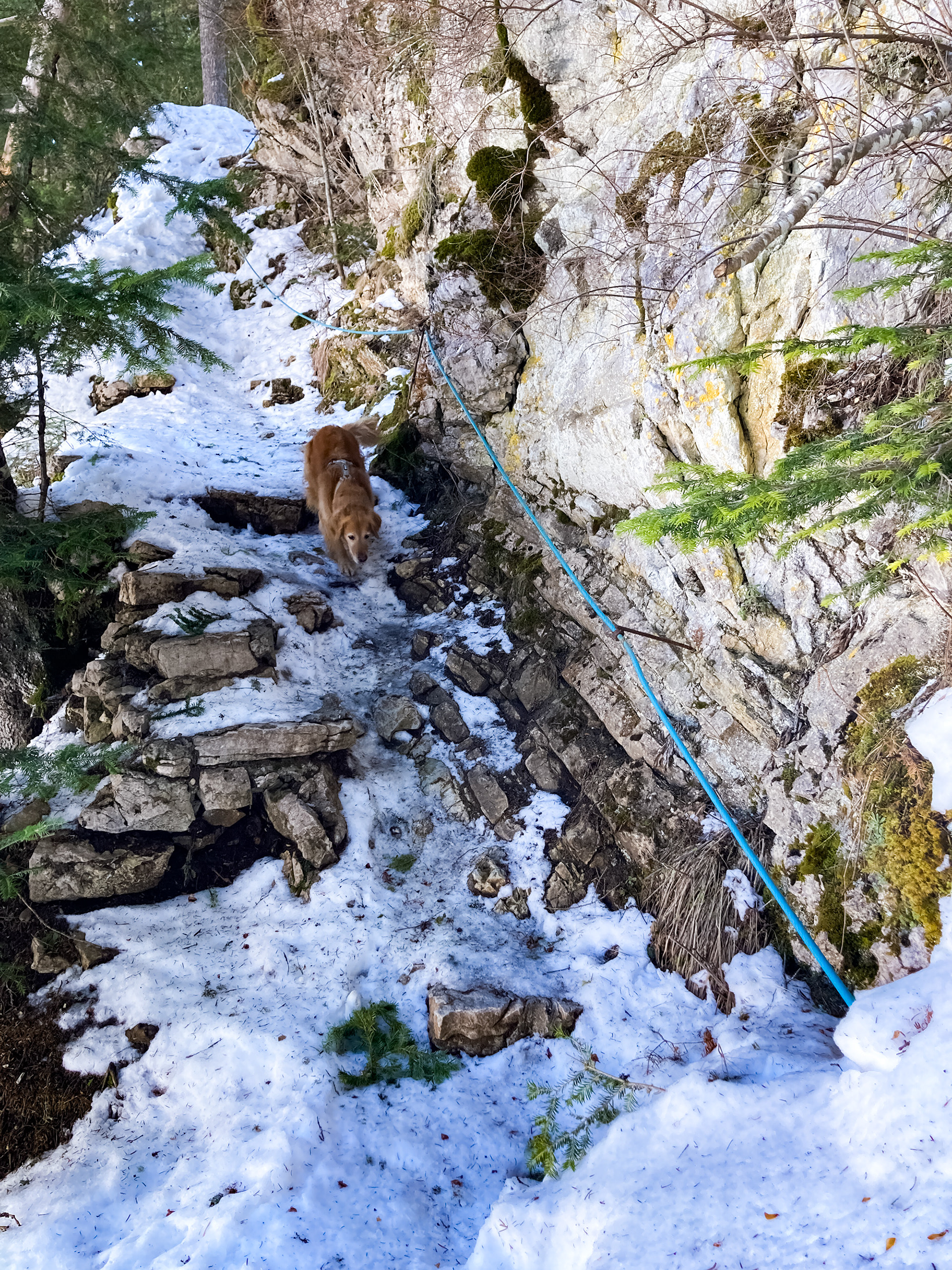 I have a 4x4! Montengro // February 2026