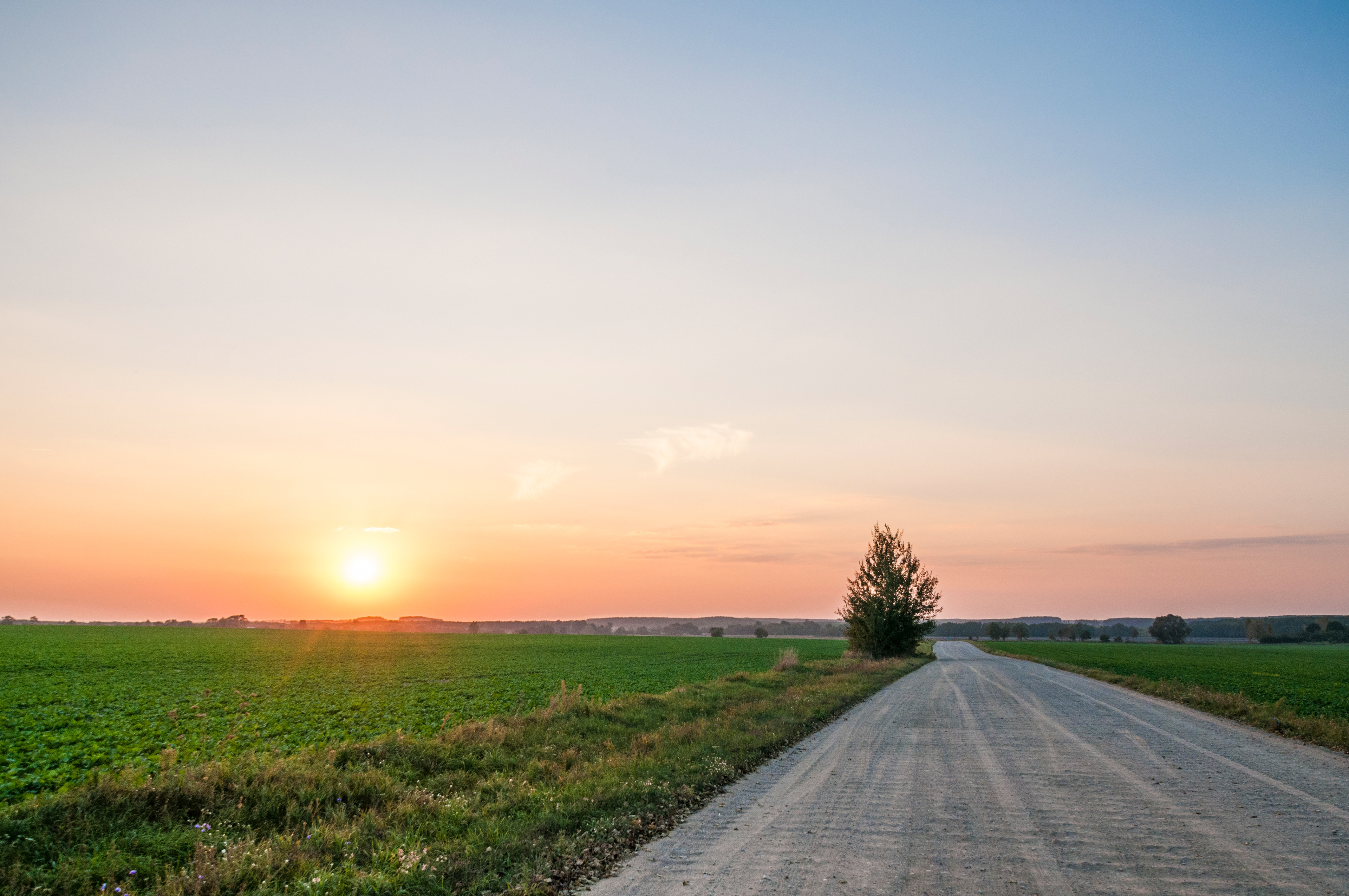 Near Nekhachëvo village, Belarus, September 2016