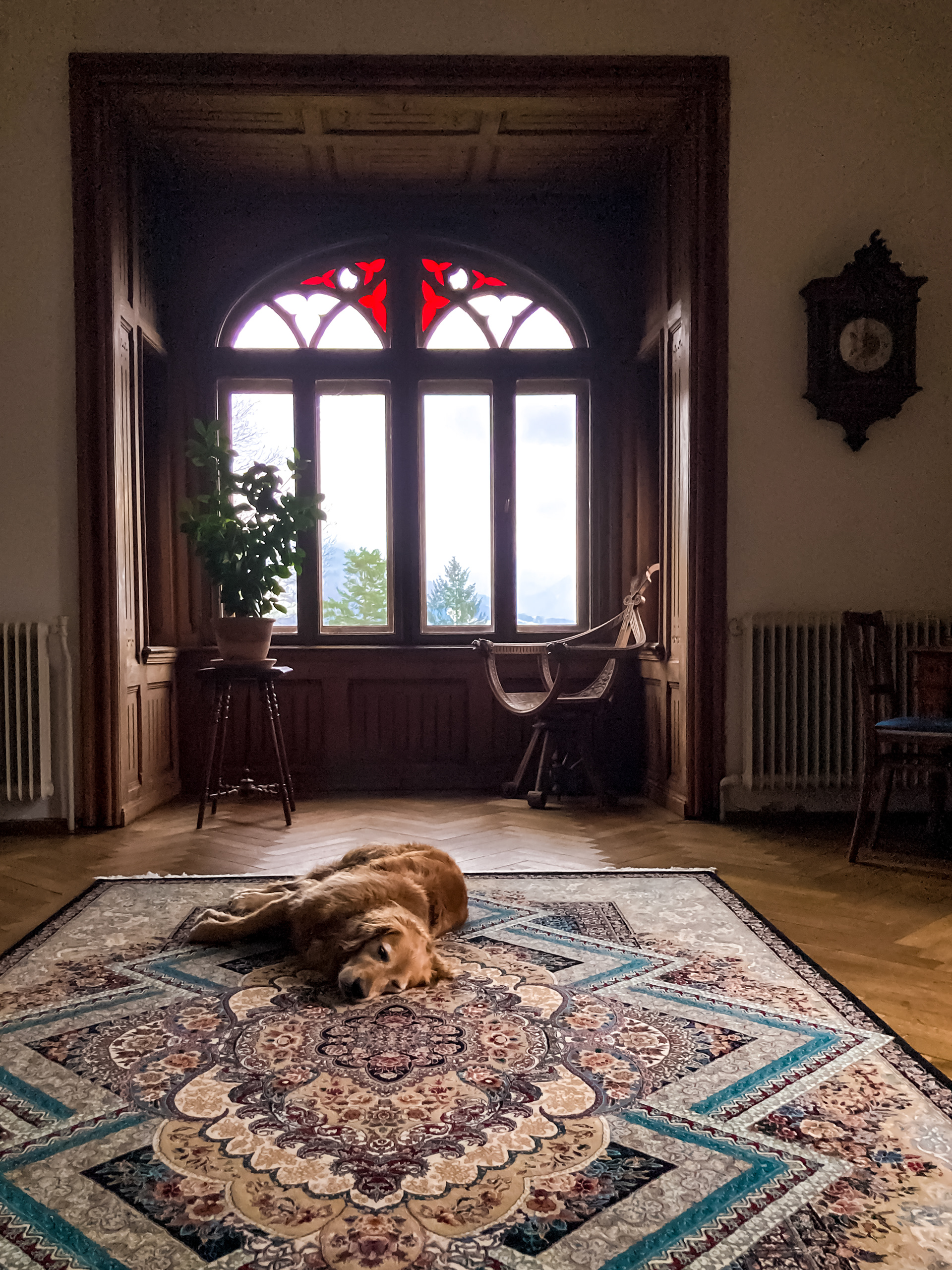 Sleeping like an emperor in Austria.