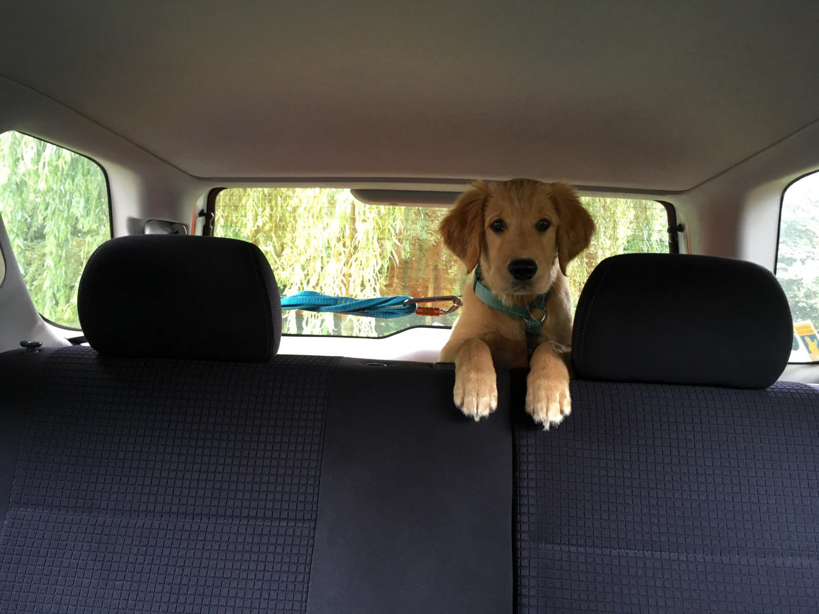 On one of my first roadtrips! I'm so excited!