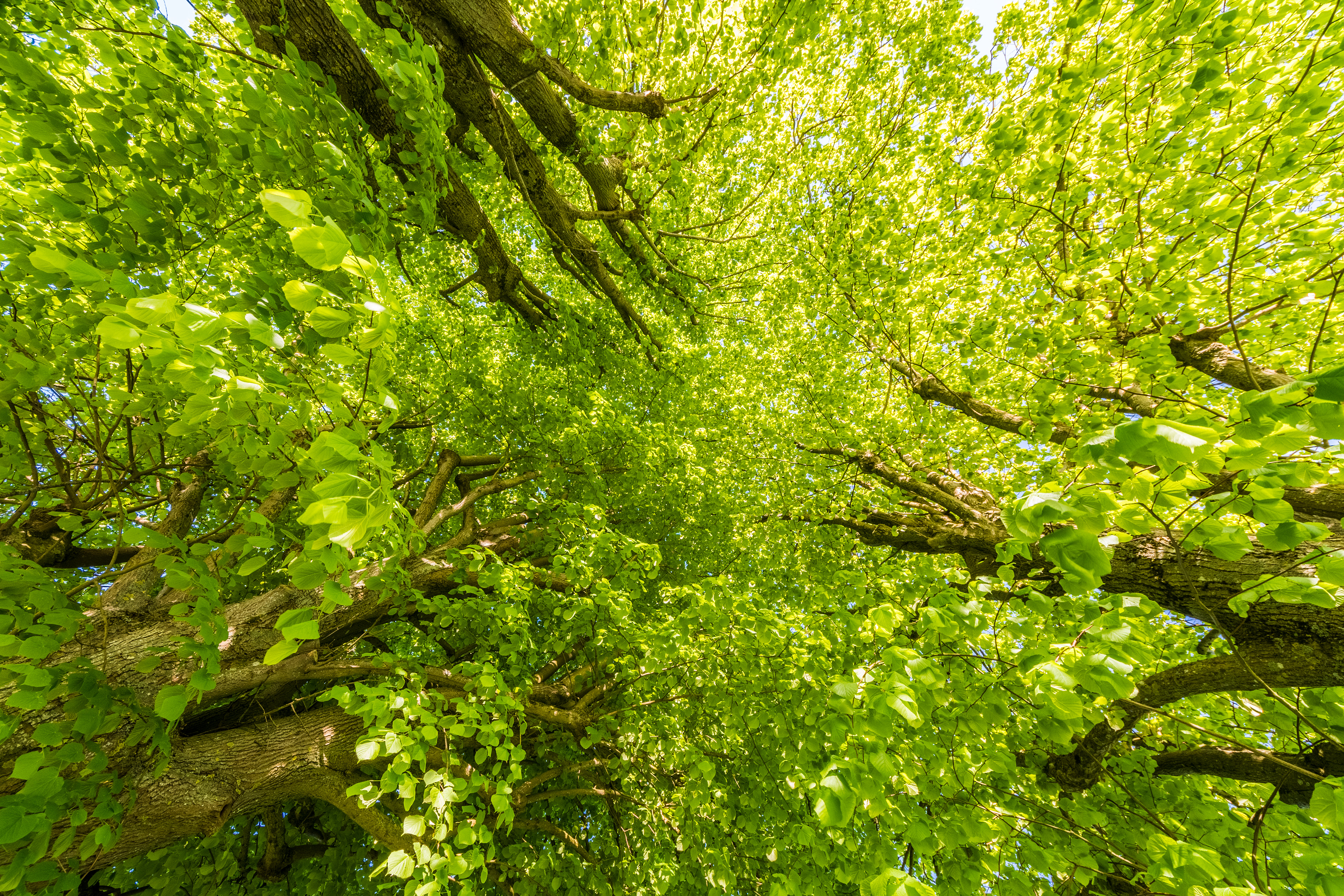Rue de Bon Puits and Route de Machault intersection, Féricy, France, April 2018