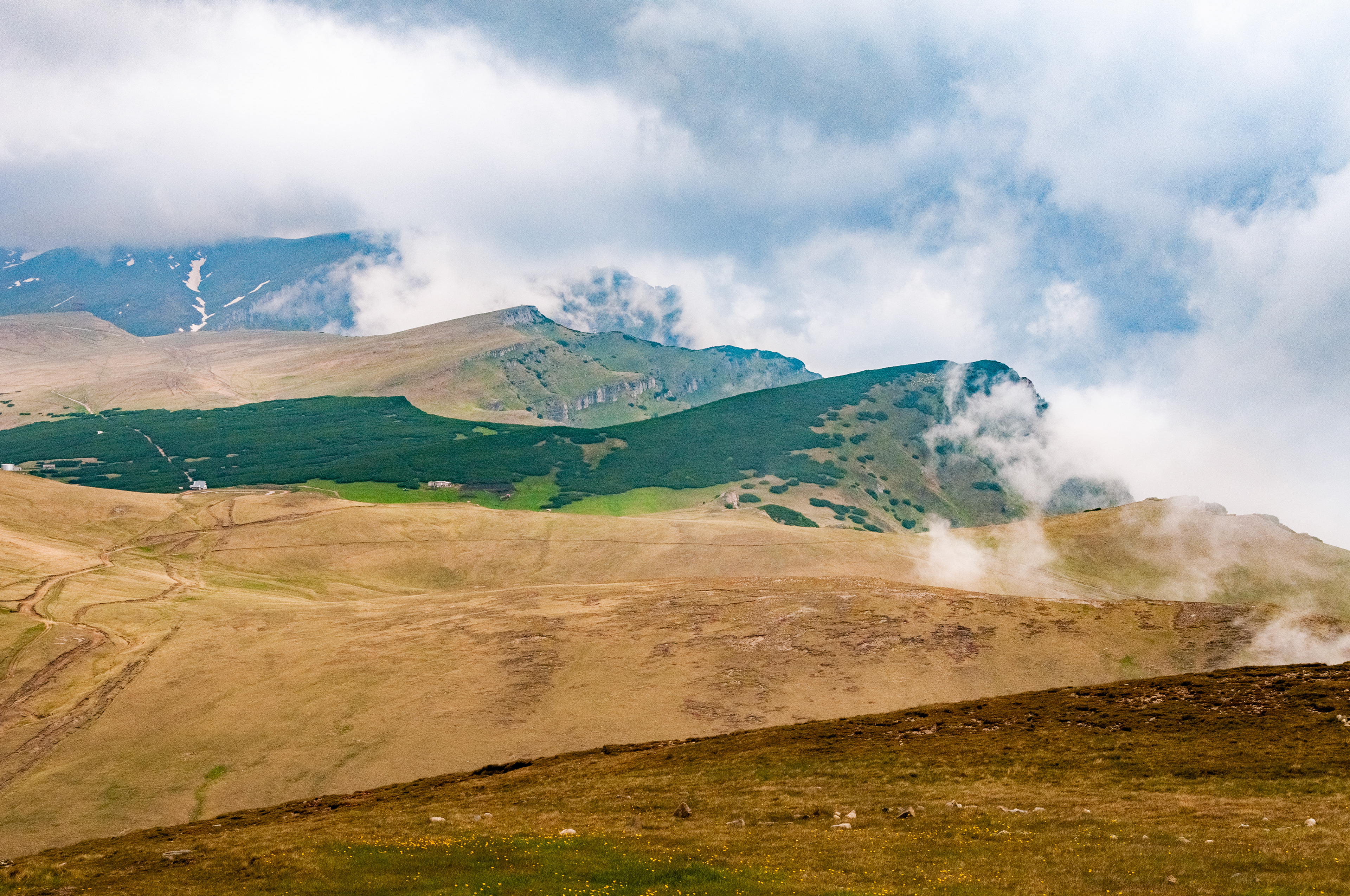 Bușteni, Romania // June 2013