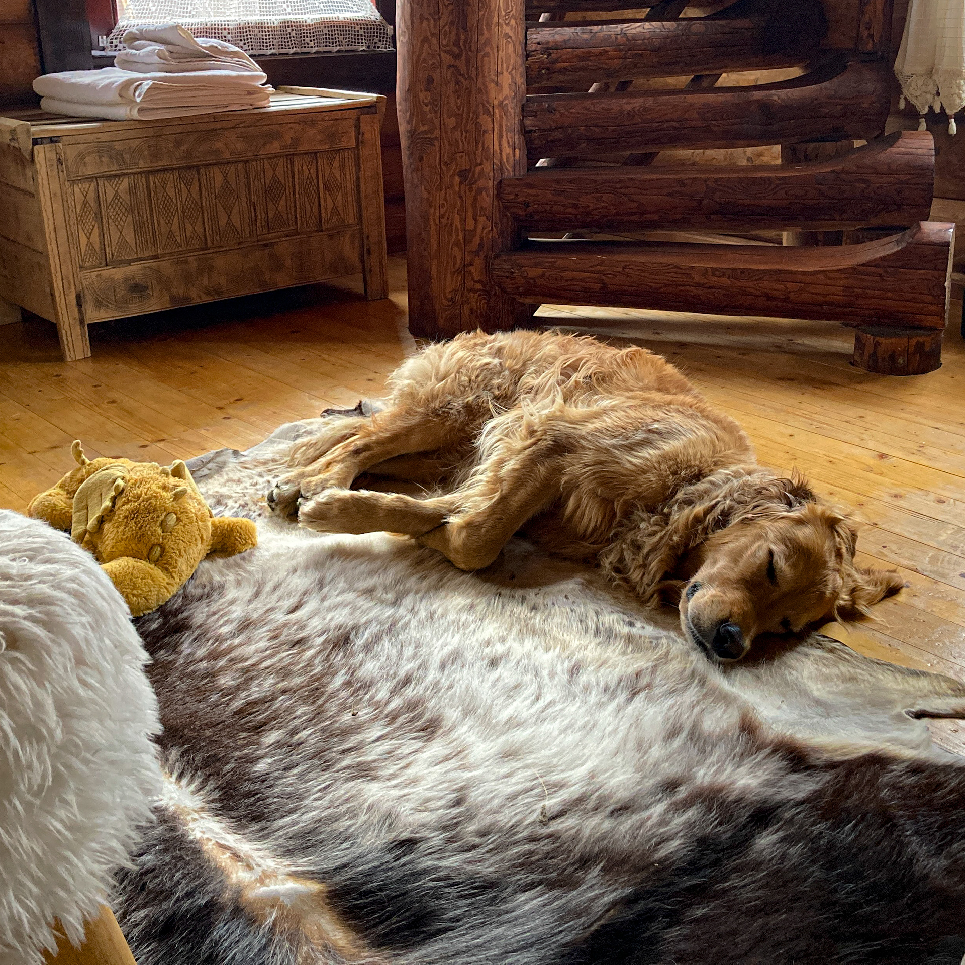 Dreaming of sticks and haystacks in Maramureș, Romania // September 2024