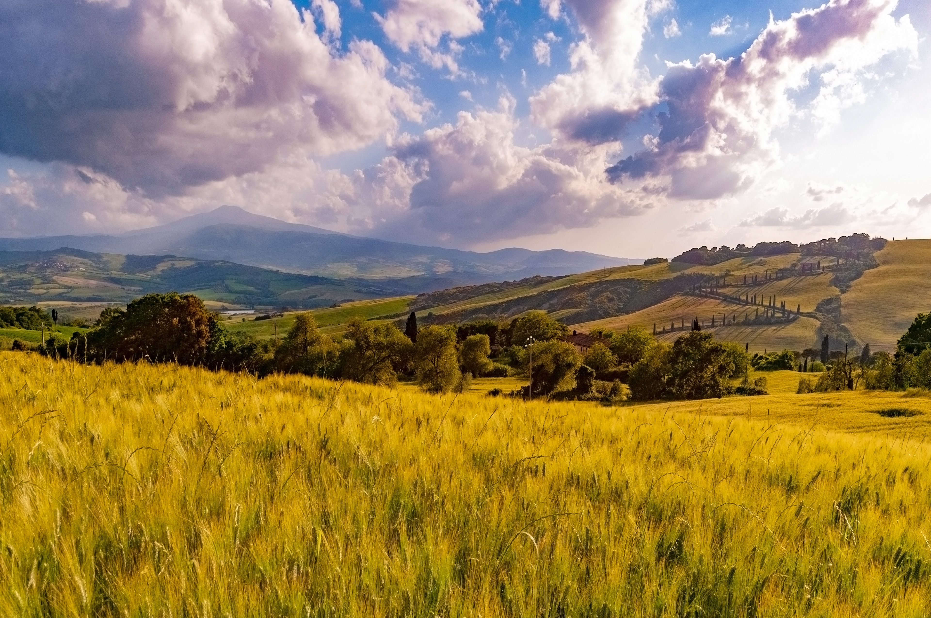 Tuscany, Italy // May 2016